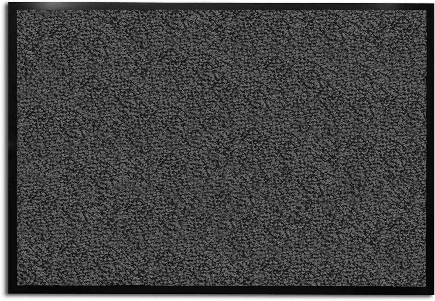 Floordirekt Schmutzfangmatte Sky - Anthrazit 120 x 180 cm - Türmatte Sauberlaufmatte Fußabtreter - Fussmatte Teppich - für Flur Eingang Eingangsbereich - rutschfest & ausgezeichnete Reinigungswirkung