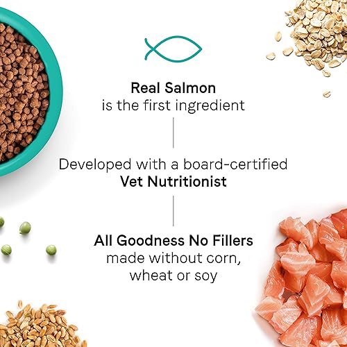 Miniatura 5 de Canidae Goodness for Joints, alimento seco prémium para gatos adultos con salmón real, 5 libras.