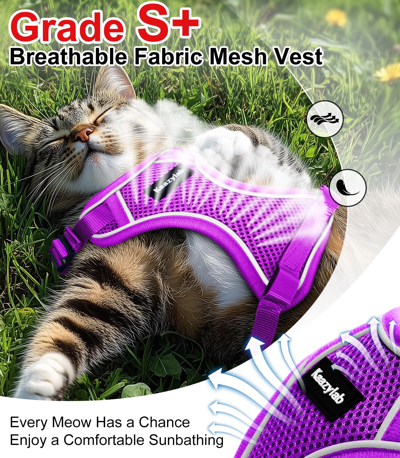 View 4