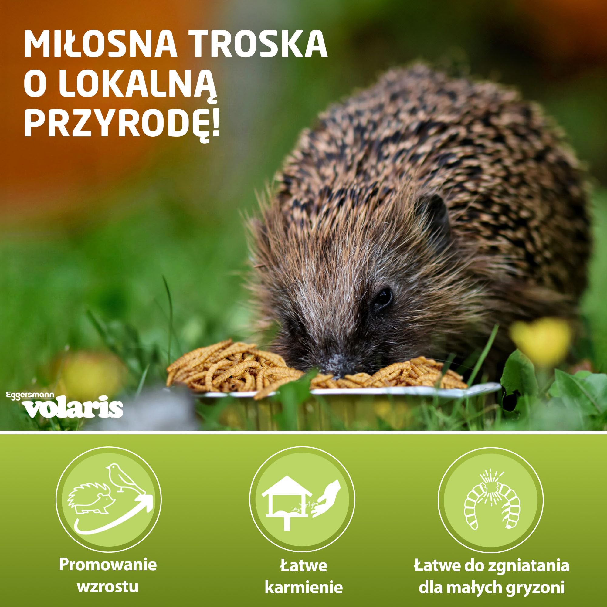 Eggersmann volaris mączniki suszone 900g – Pokarm dla dzikich ptaków bogaty w białko i naturalny – Suszone mączniki idealne dla dzikich ptaków, kurcząt i innych zwierząt domowych – Pokarm dla ptaków