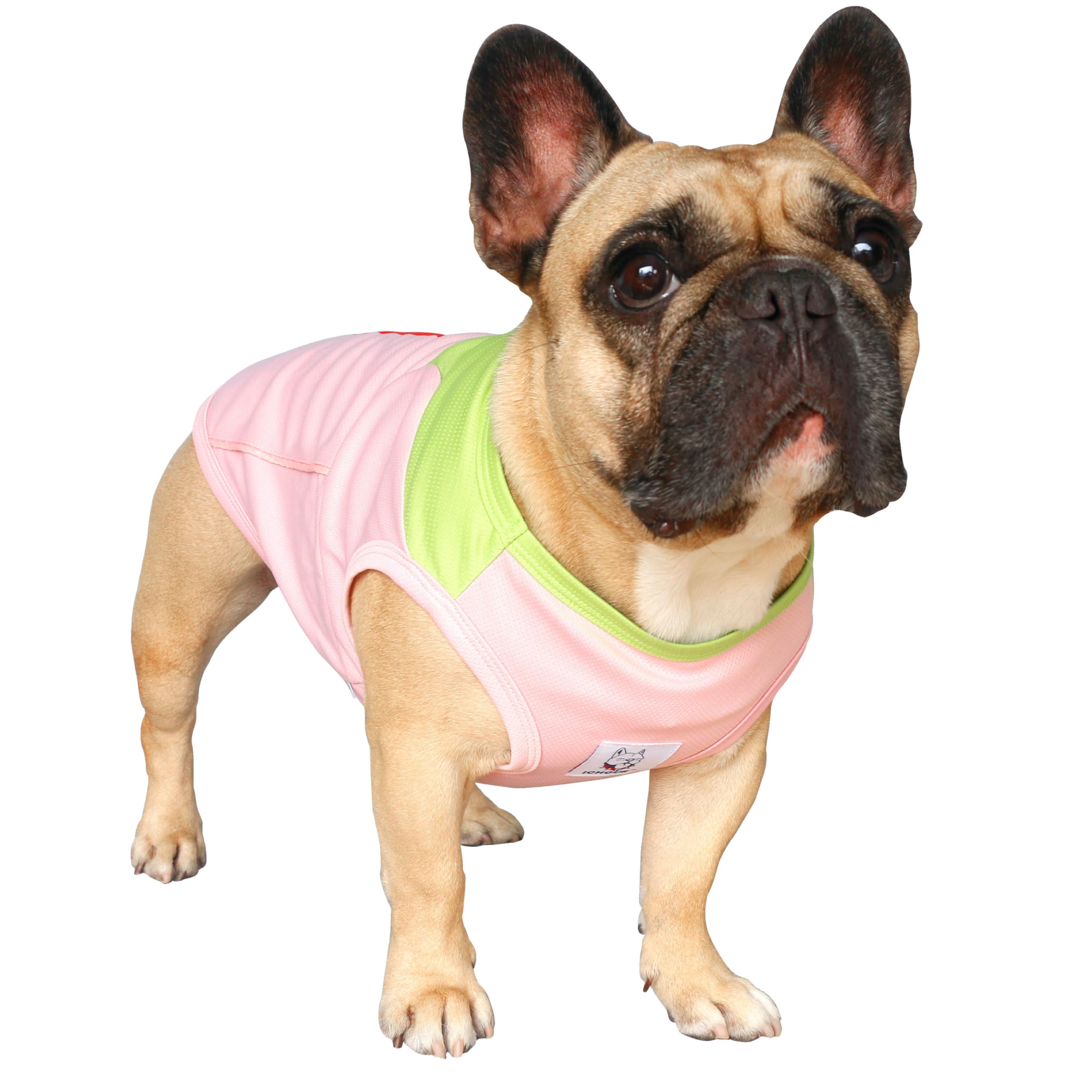 iChoue French Bulldog Pug Summer Cooling Shirts Vests Pink Green - Large โ image 1