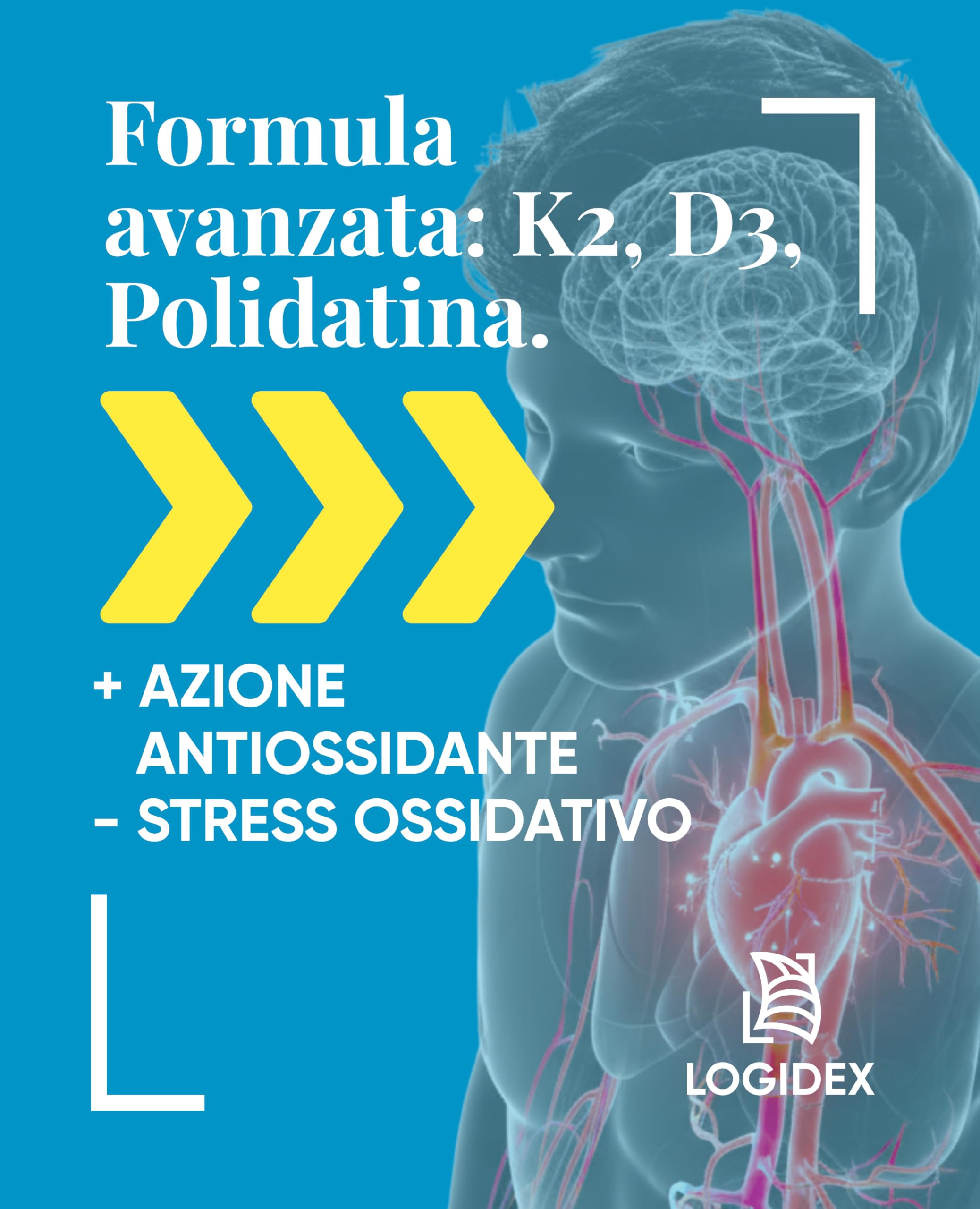 Loxicor K2 - Integratore Vitamina K con Polidatina Antiossidante (100mg), Vitamina D3 e Coenzima Q10 | Formula Avanzata per Cuore e Circolazione | 30 Compresse - Logidex