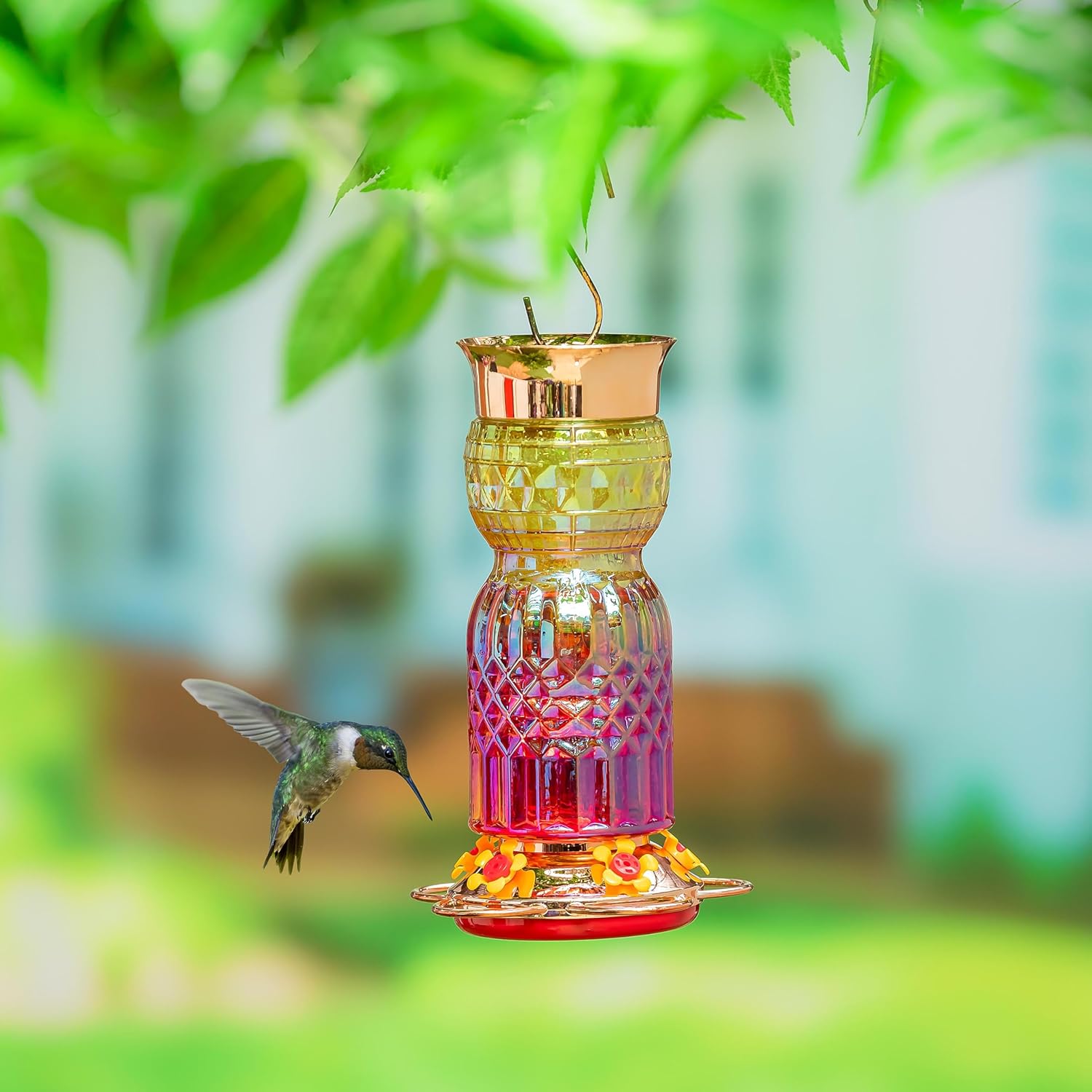 Evergreen Garden Iridescent Glass Hummingbird Feeder, 31 Ounces Hanging Bird Feeder Outdoors for Garden, Patio (Pink Ombre)