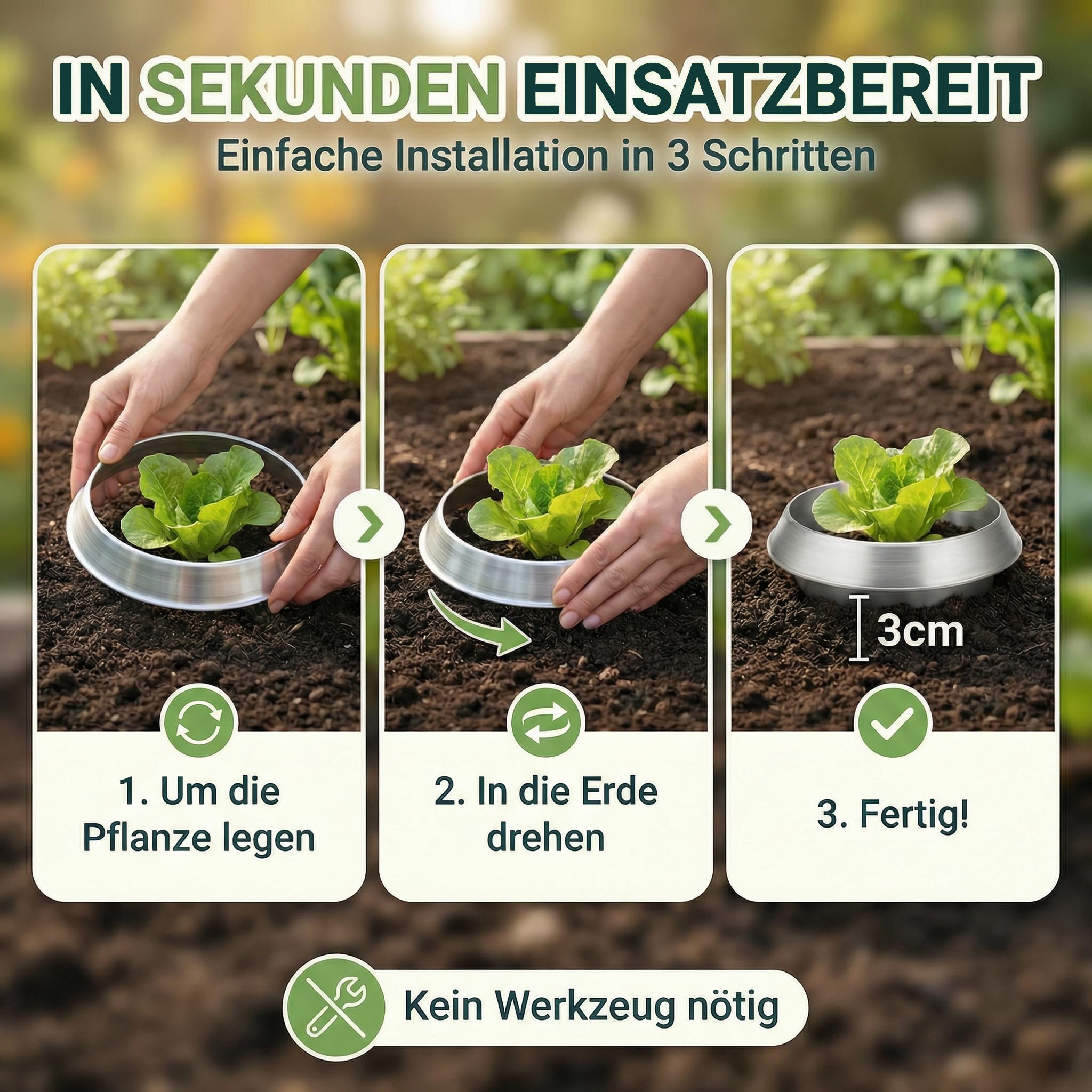 Schneckenkragen aus Metall – effektiver Schneckenschutz für Hochbeet, Garten & Gemüsebeet – galvanisiert & wiederverwendbar – Schneckenschutzring