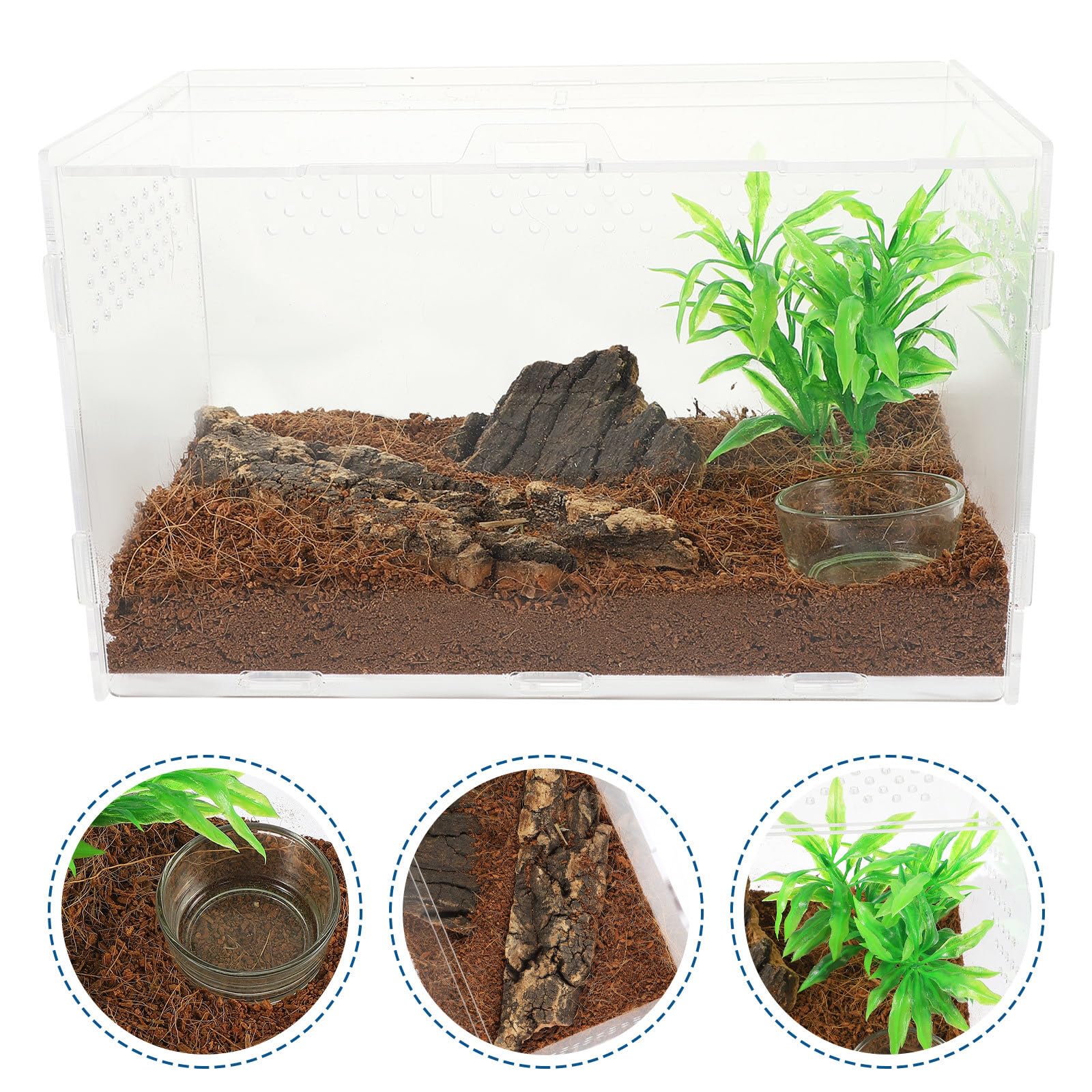 Terrario Acrilico Trasparente per Rettili e Aracnidi Ventilazione, Vasca da 25x15x15 Cm per Lucertole, Ragni, Scorpioni e Piccoli Animali Esotici