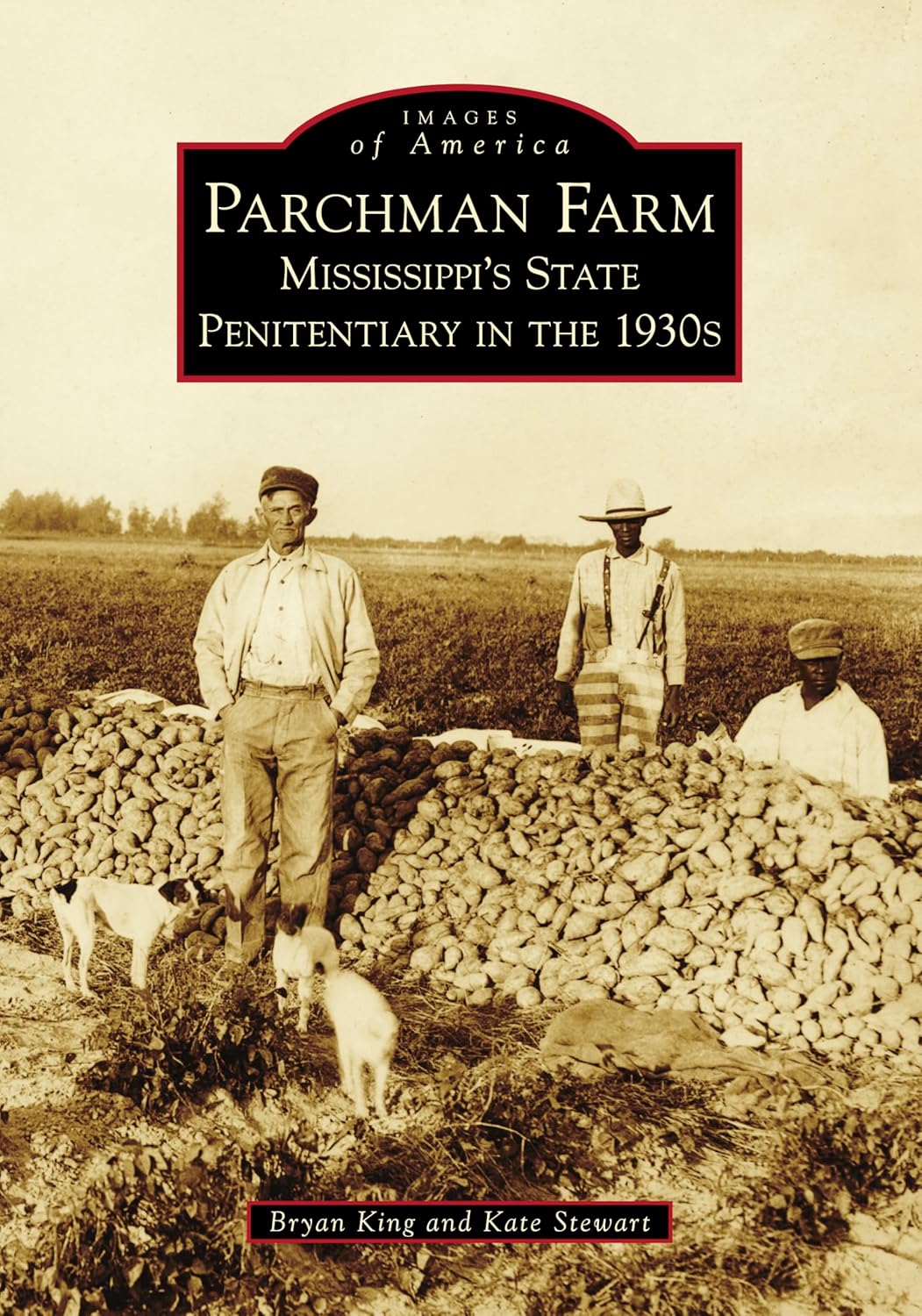 Parchman Farm Mississippi's State Penitentiary in the 1930s (Images of