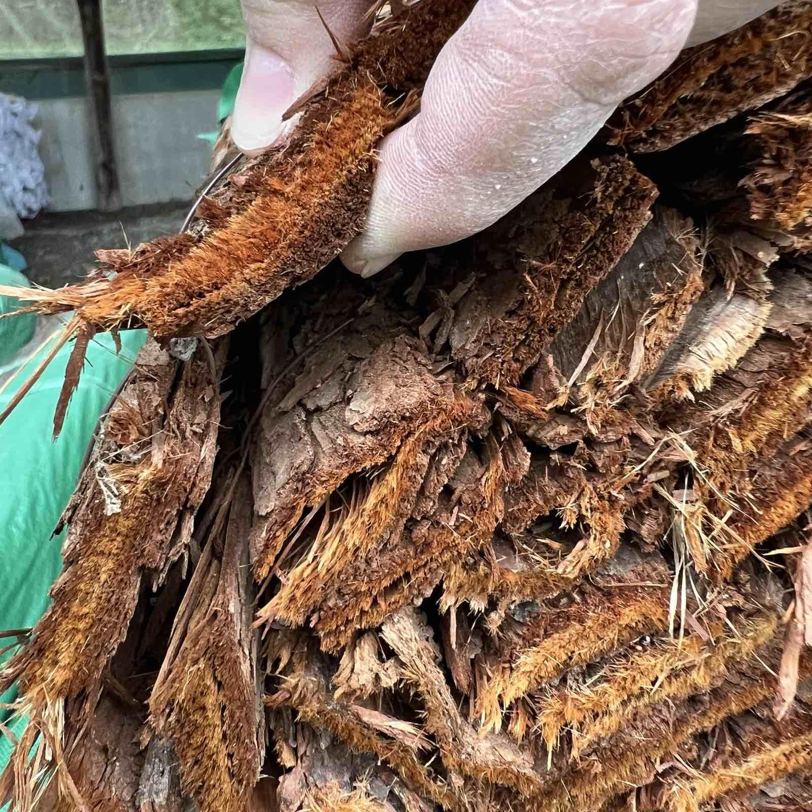Corteza de Doble Cara – Natural y Estética/Valla corteza de Aveto Ocultación, sombraje o delimitación de jardín, patio. parcela y mas (1 x 3 metros)