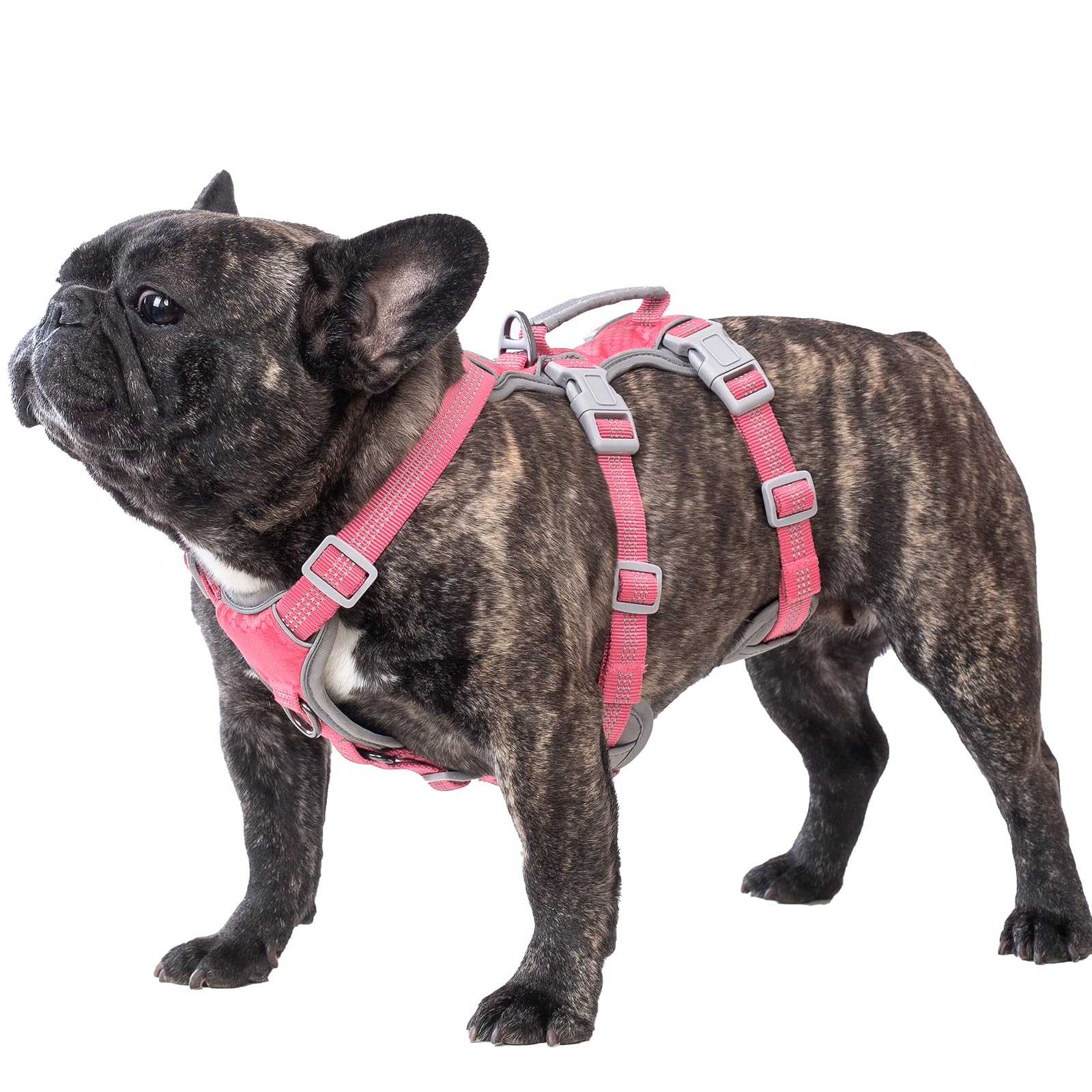 Huntboo Escape Proof Dog Harness, Escape Artist Harness, Reflective Harness with Padded Handle, Breathable, Durable, Adjustable Vest for Medium Dogs