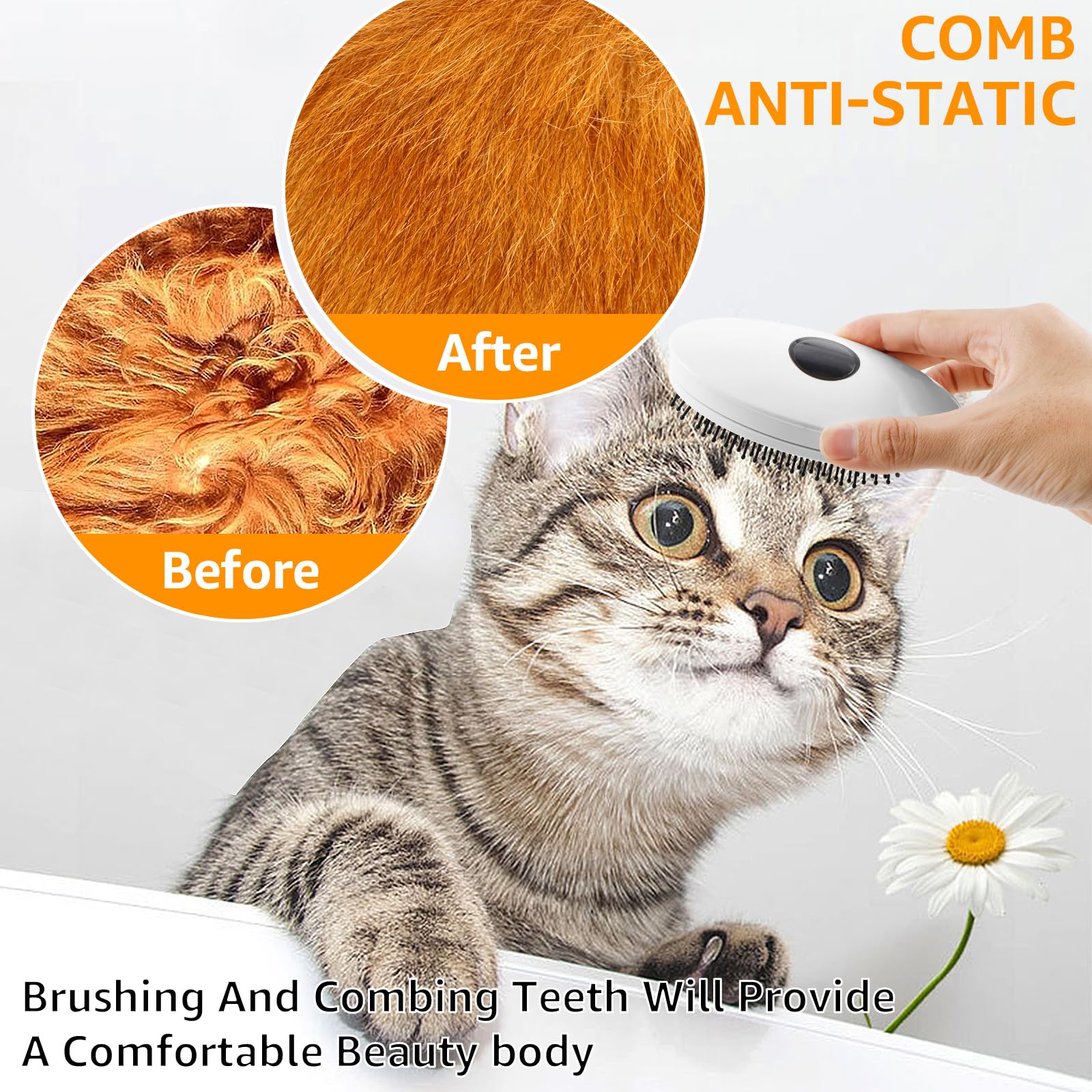 Spazzola a vapore per gatti per toelettatura di animali domestici Spazzola a vapore per gatti Comoda spazzola a vapore per gatti Pettine compatto per gatti Pettine spray per gatti Spazzola a