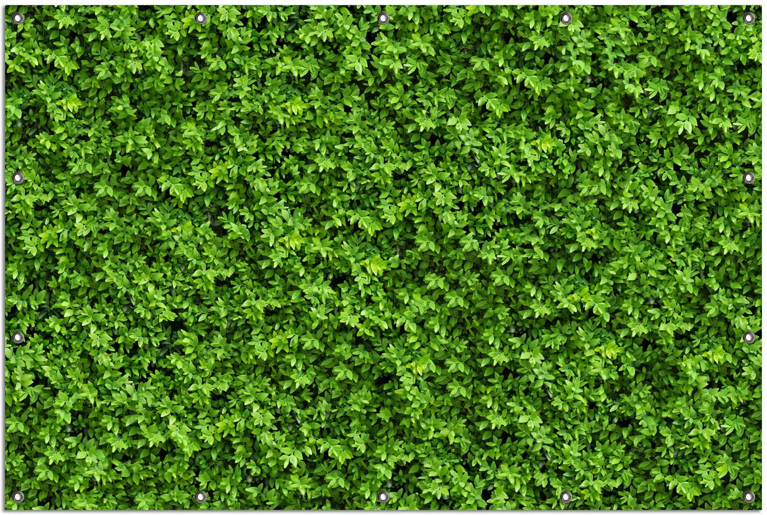 Wallario Outdoor-Poster für Garten oder Balkon Grüne Hecke, Motivbanner Größe: ca. 120 x 180 cm, Outdoor-Bild