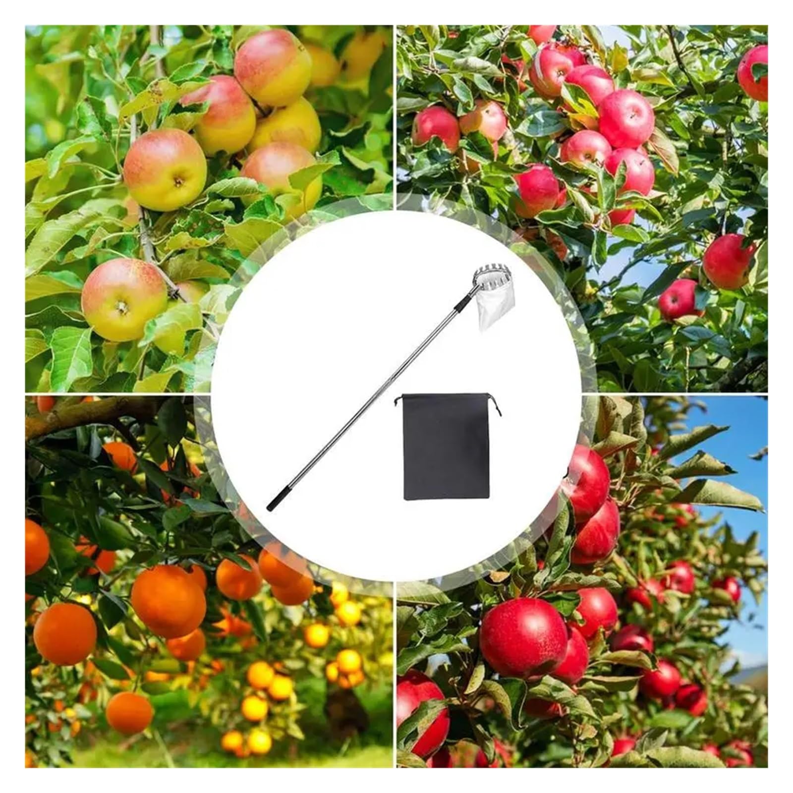 Leichter Baum-Erntehelfer, Obstpflücker, Teleskopgreifer, Greifer, rostfrei, silberfarben, for Eichel, Zitrone, Birne, Mango