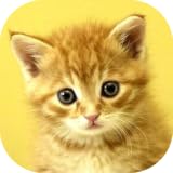Improves Fine motor skills Baby Animals Game