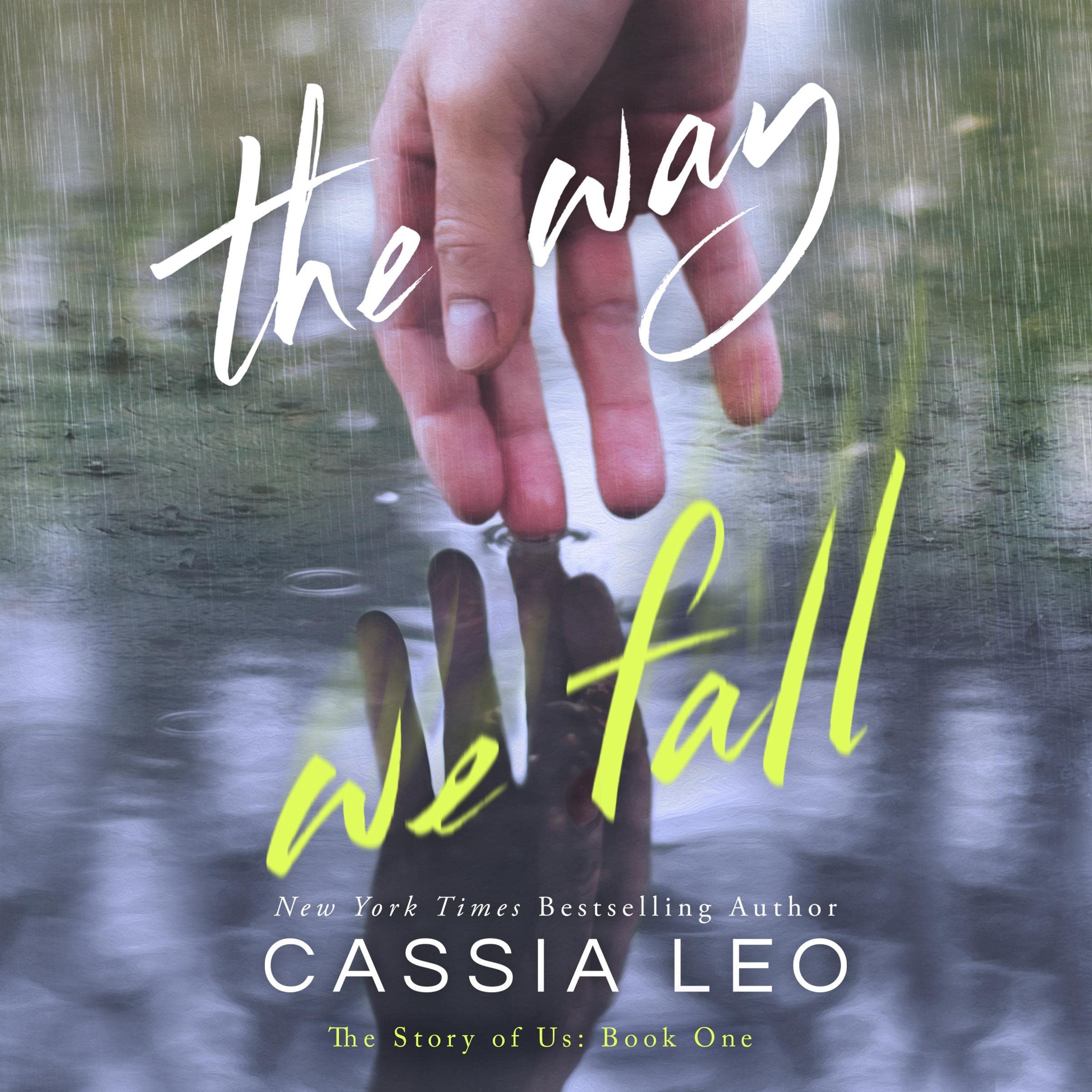 Cover art for The Way We Fall