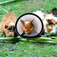 Vista 3 de balacoo Collar de recuperación de hámster pequeño para mascotas, suave, mini círculo Elizabeth, cono de cuello ajustable para animales pequeños