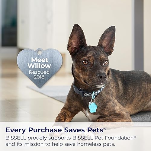 Miniatura 7 de BISSELL Little Green - Limpiador portátil multiusos de alfombras y tapicería 1400B