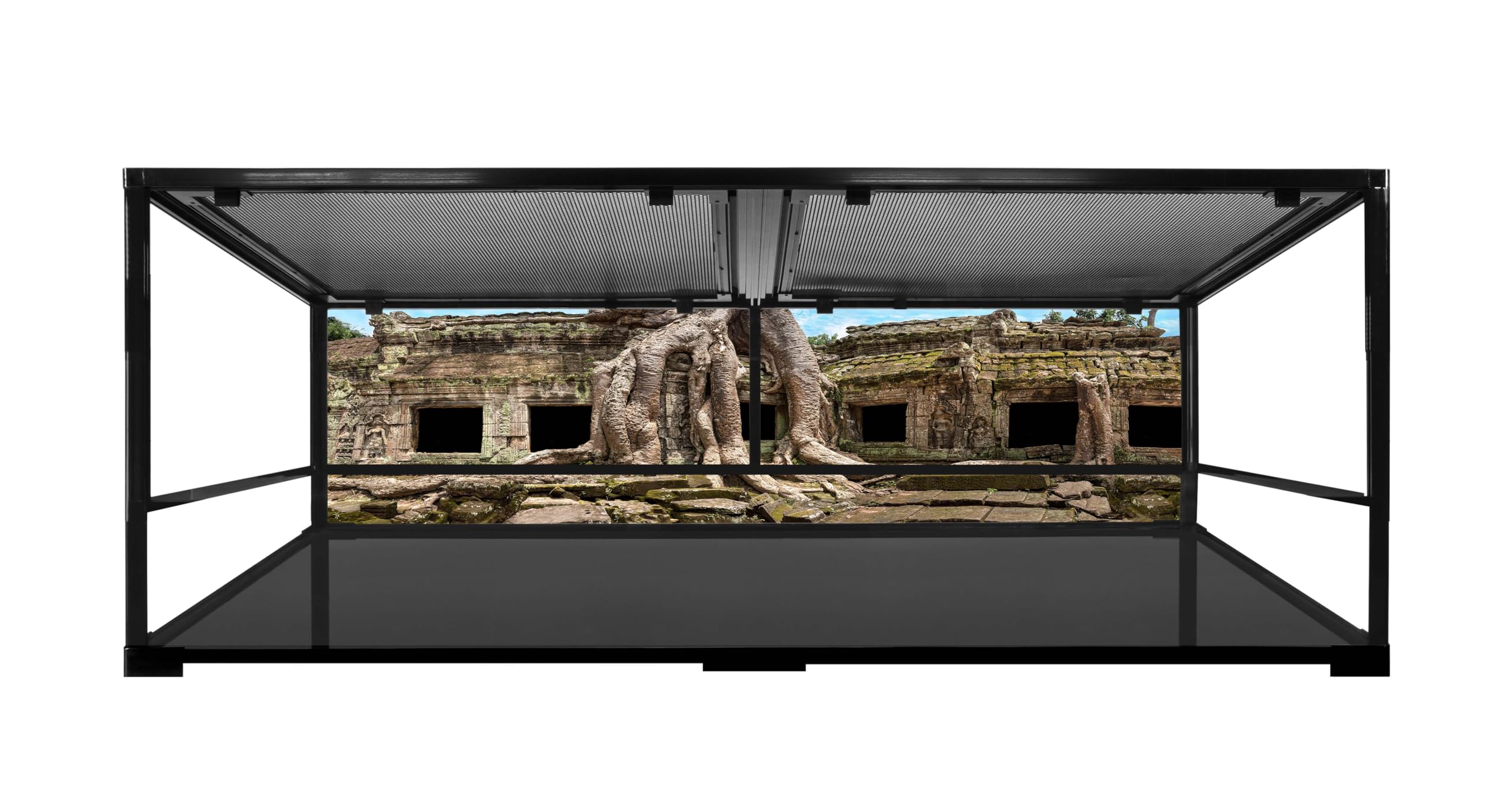 Reptile Habitat Background; Temple Ruins of Ta Prohm, for 48Lx18Wx18H Backside