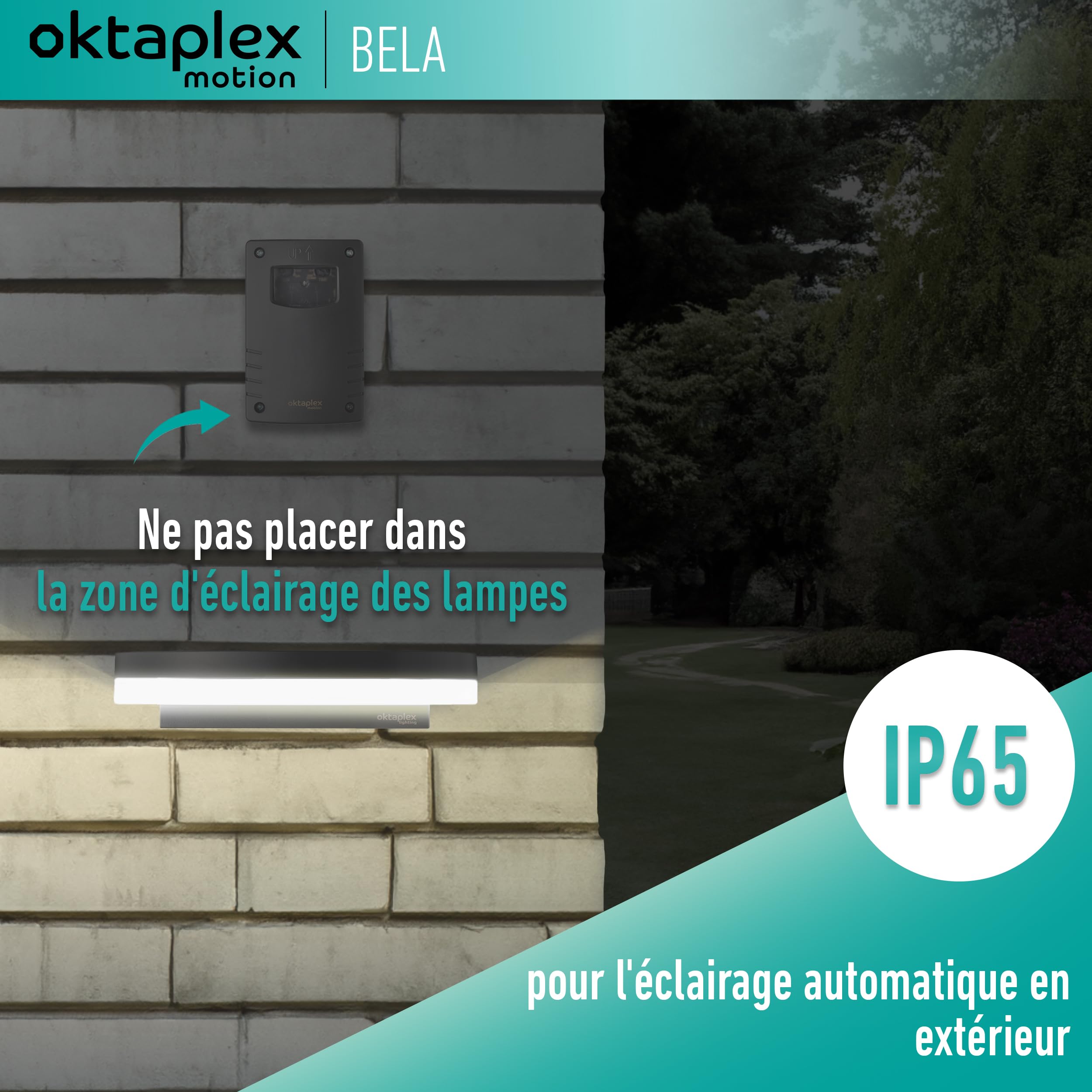 Oktaplex Bela Set 2 Interrupteur crépusculaire extérieur avec minuterie d'extinction IP65 230V anthracite capteur crépusculaire réglable
