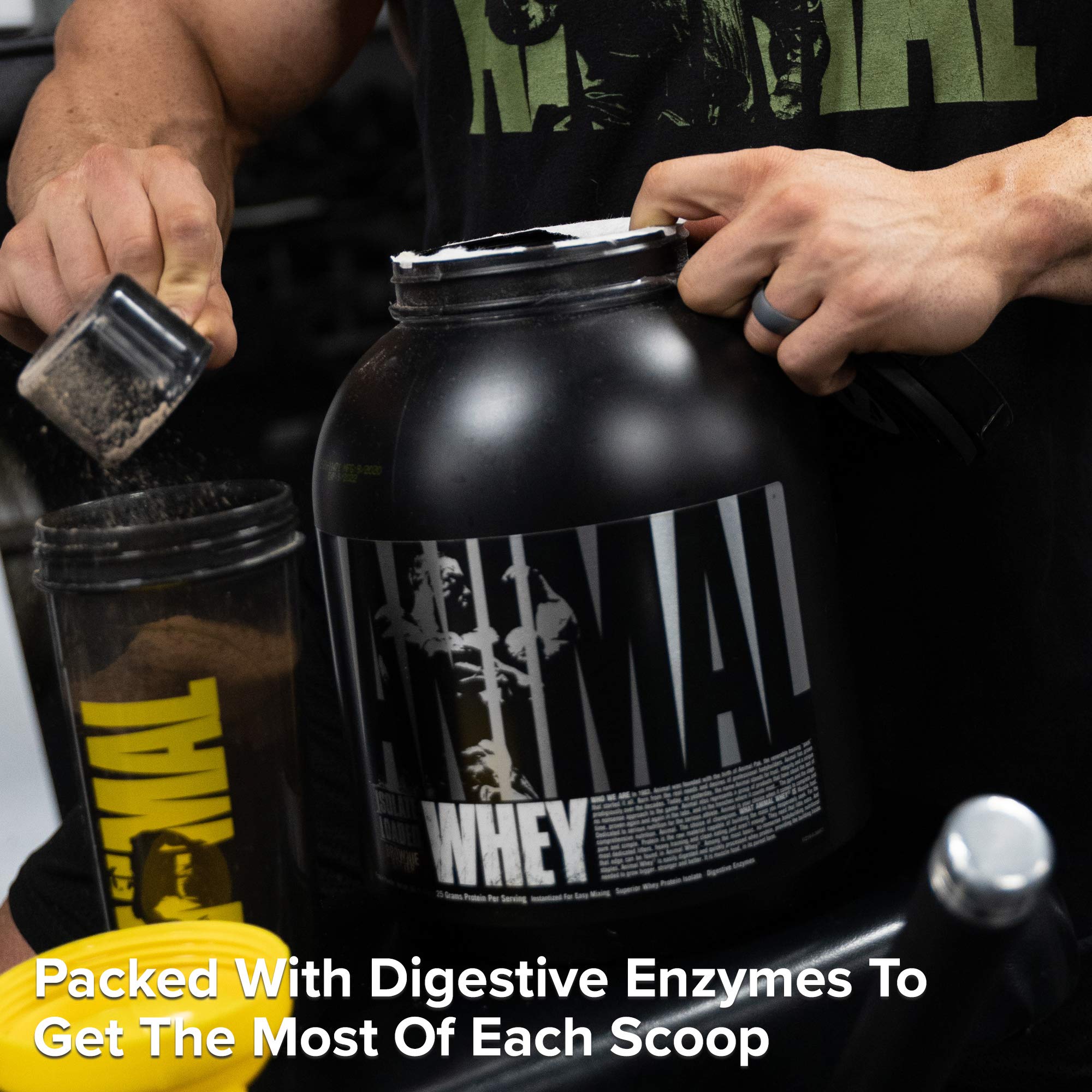 Buy Animal Whey Isolate Whey Protein Powder Isolate Loaded for Post