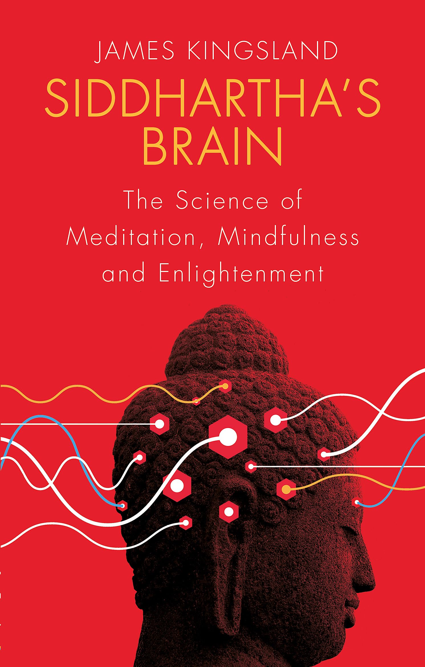 Siddhartha's Brain: The Science of Meditation, Mindfulness and Enlightenment