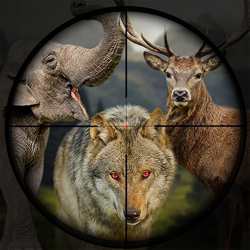 Hunting Clash Shooting Games app icon
