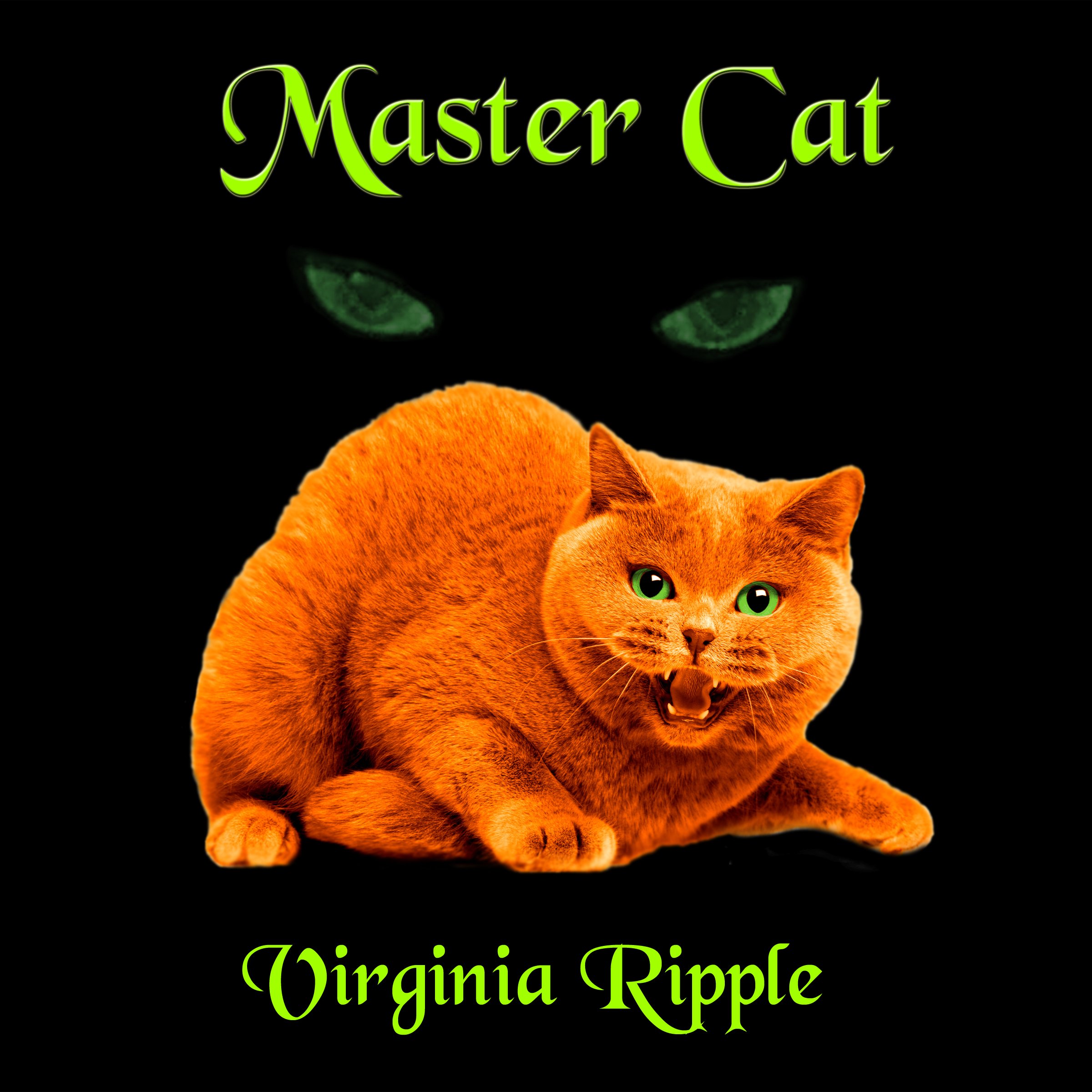 Cover art for Master Cat
