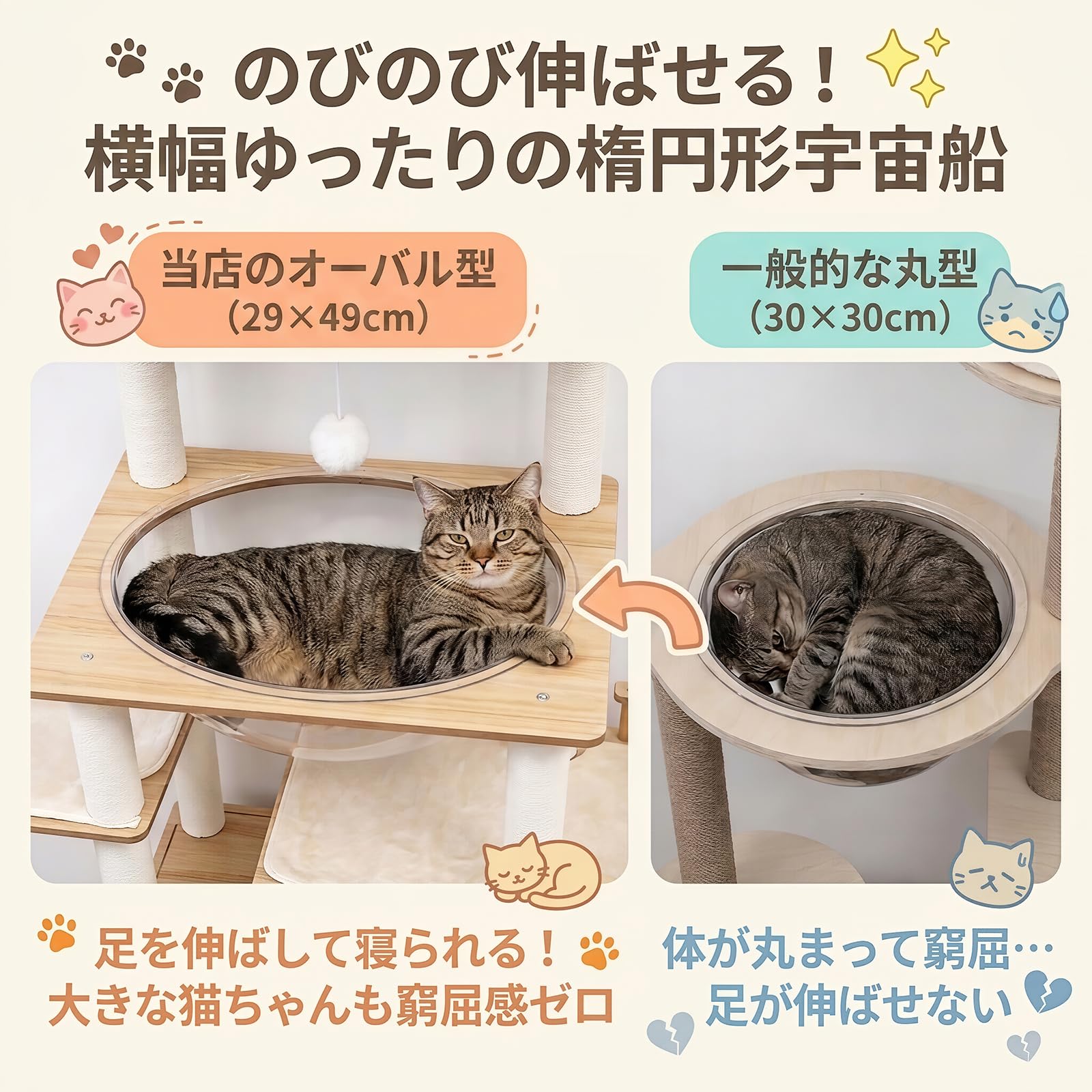 Amazon | キャットタワー 据え置き 特大楕円形透明宇宙船 猫ハウス