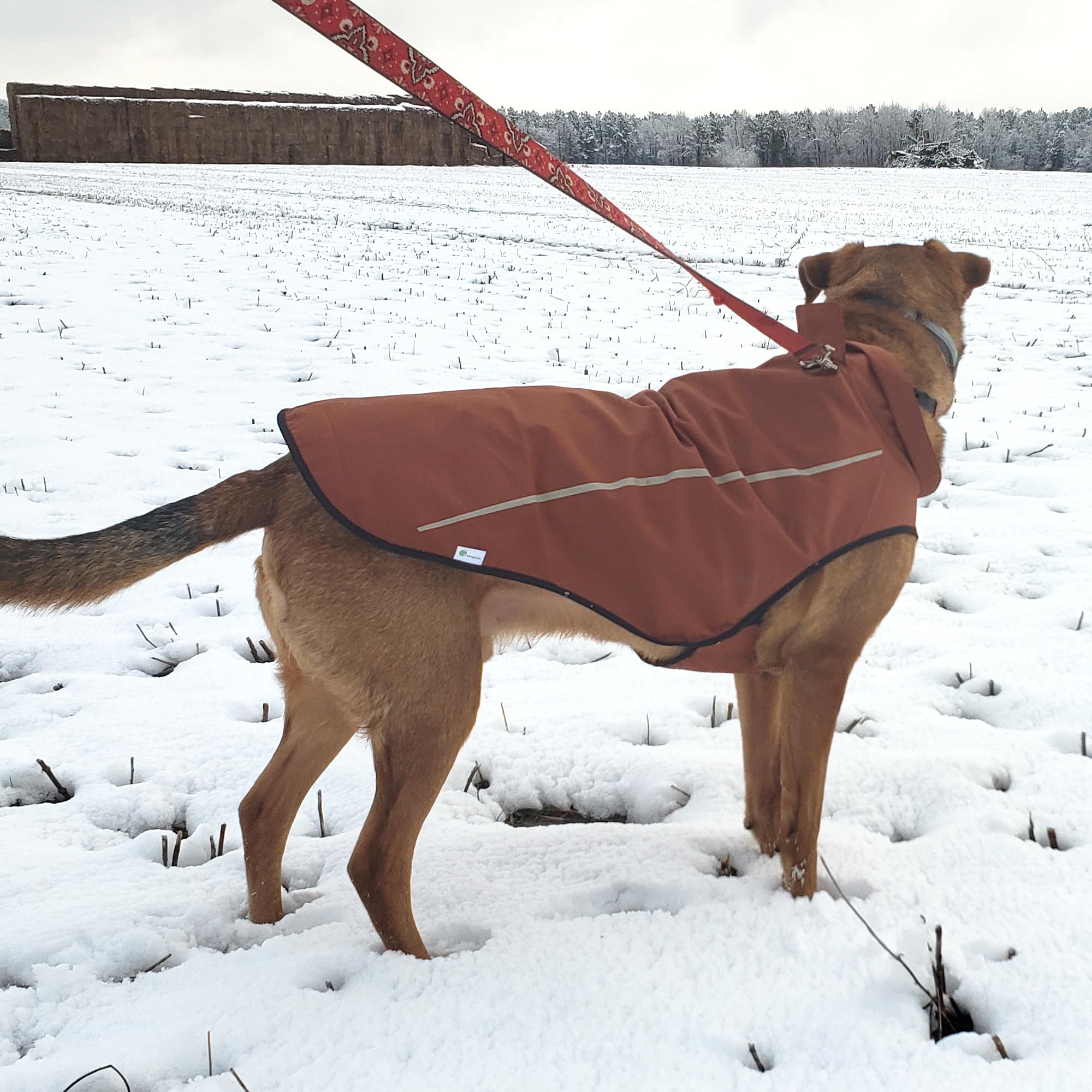 Mile High Life Hunderegenmantel Einstellbare wasserdichte Haustierkleidung Leichte Regenjacke mit reflektierendem Streifen Einfacher Einstiegsverschluss (S,Braun)