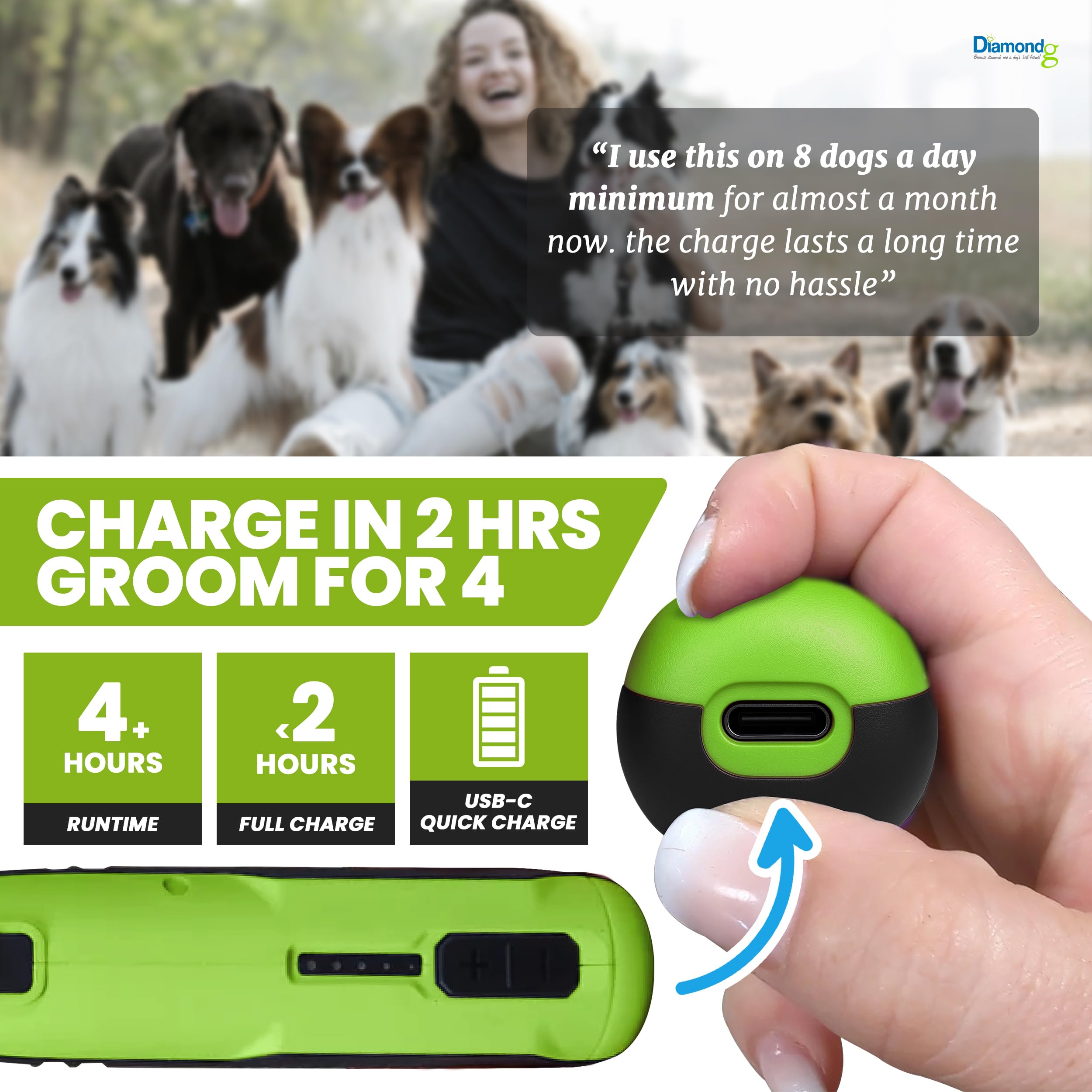 Outil rotatif pour meulage des griffes de chien, sans fil, batterie lithium-ion 8 V, pointe éclairée, autonomie de 4 heures (vert)