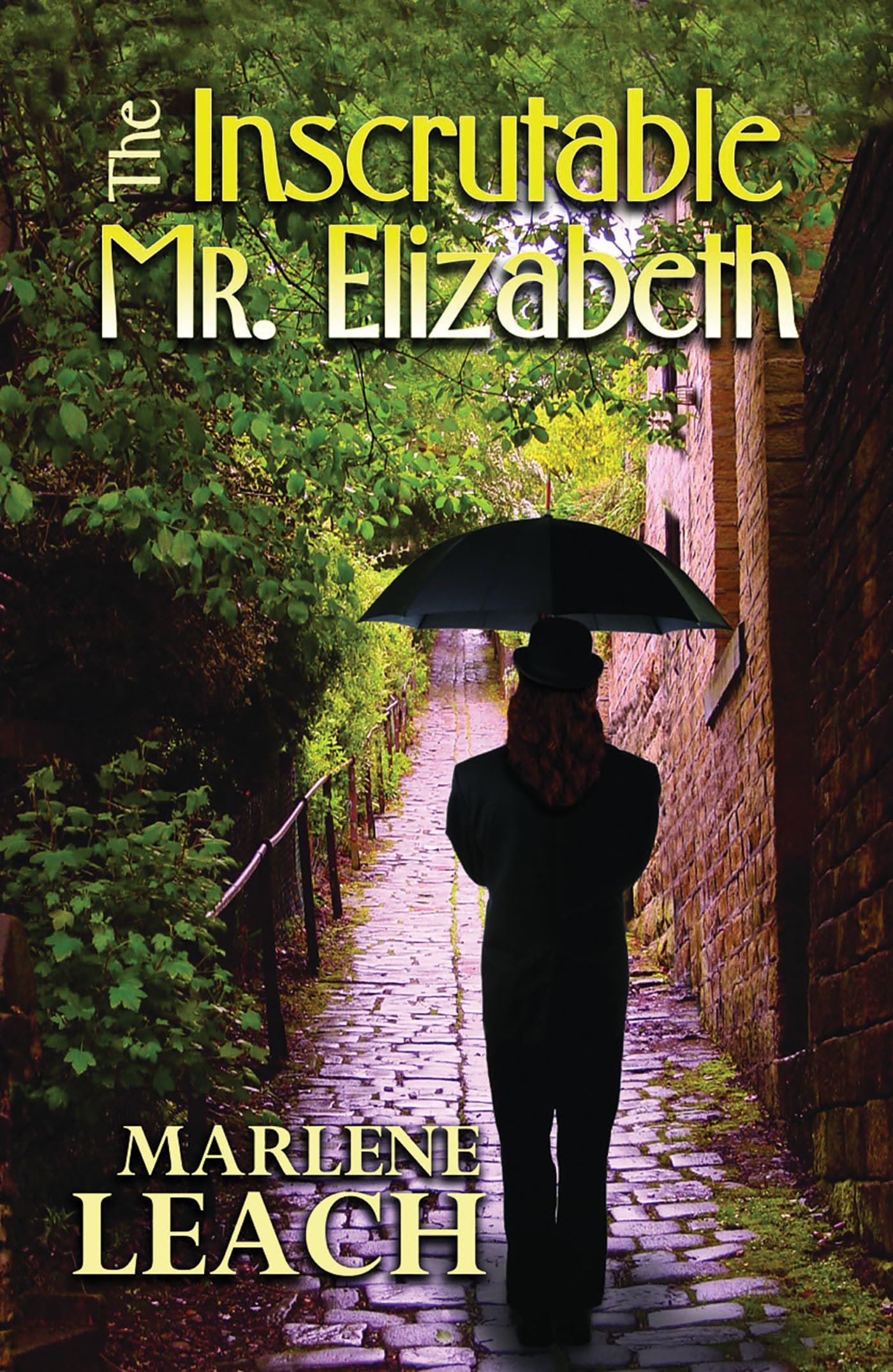 Buy The Inscrutable Mr. Elizabeth — BookShops.in