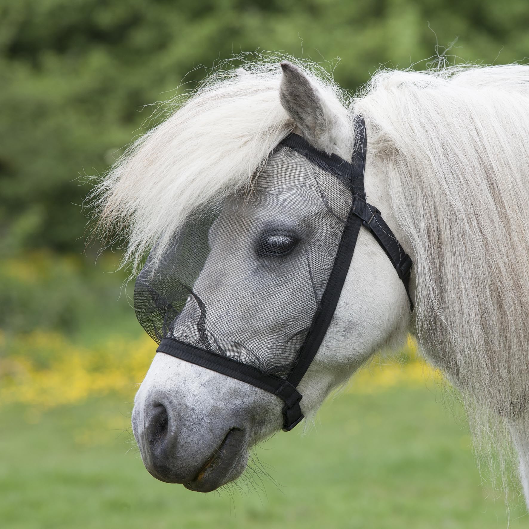 Waldhausen Fliegenmaske Basic, ohne Ohren, schwarz, Pony