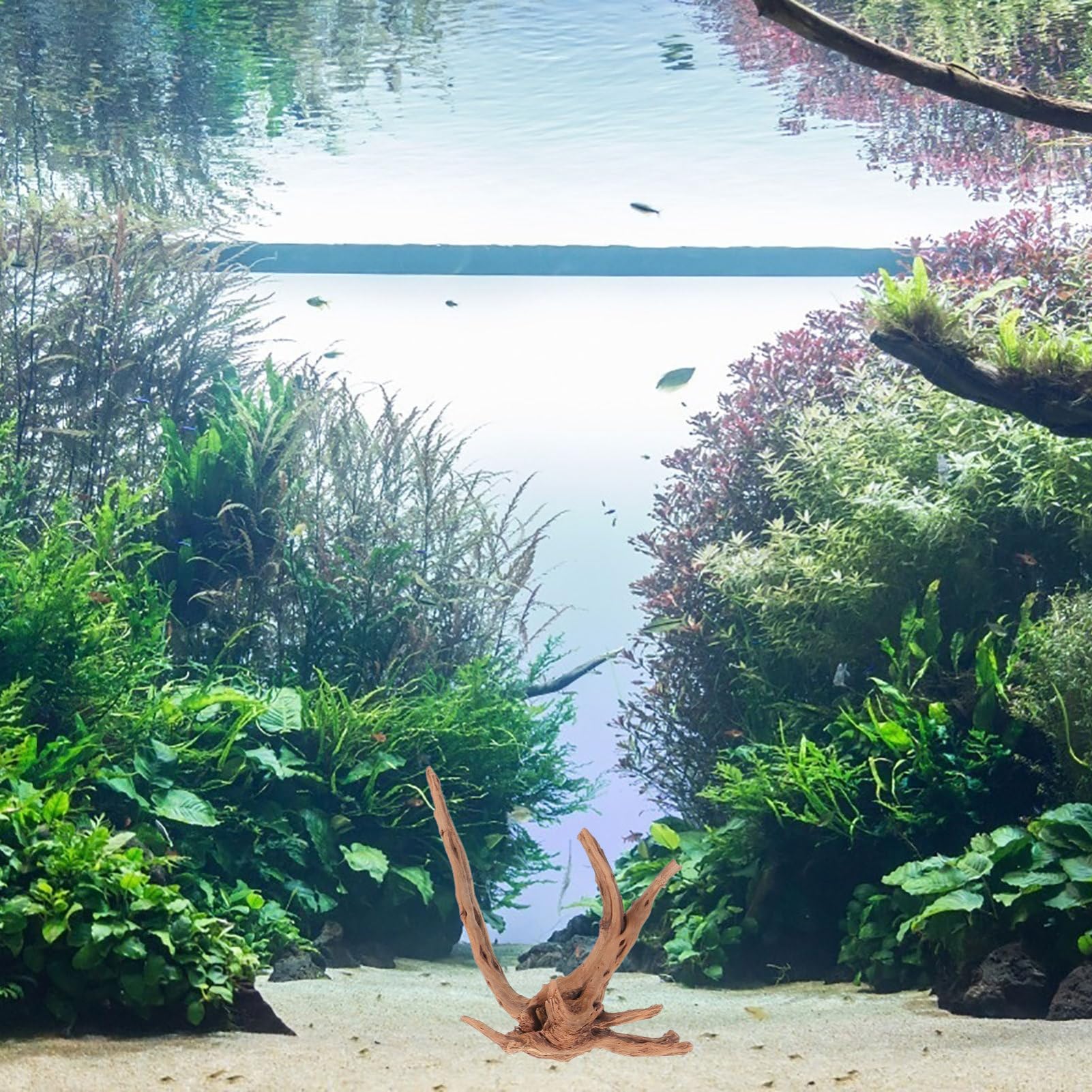 Happyyami 3piezas Decoración Natural De Flotante para y Terrarios Driftwood para Peceras y Paisajismo Acuático Diseño y Seguro para y Reptiles
