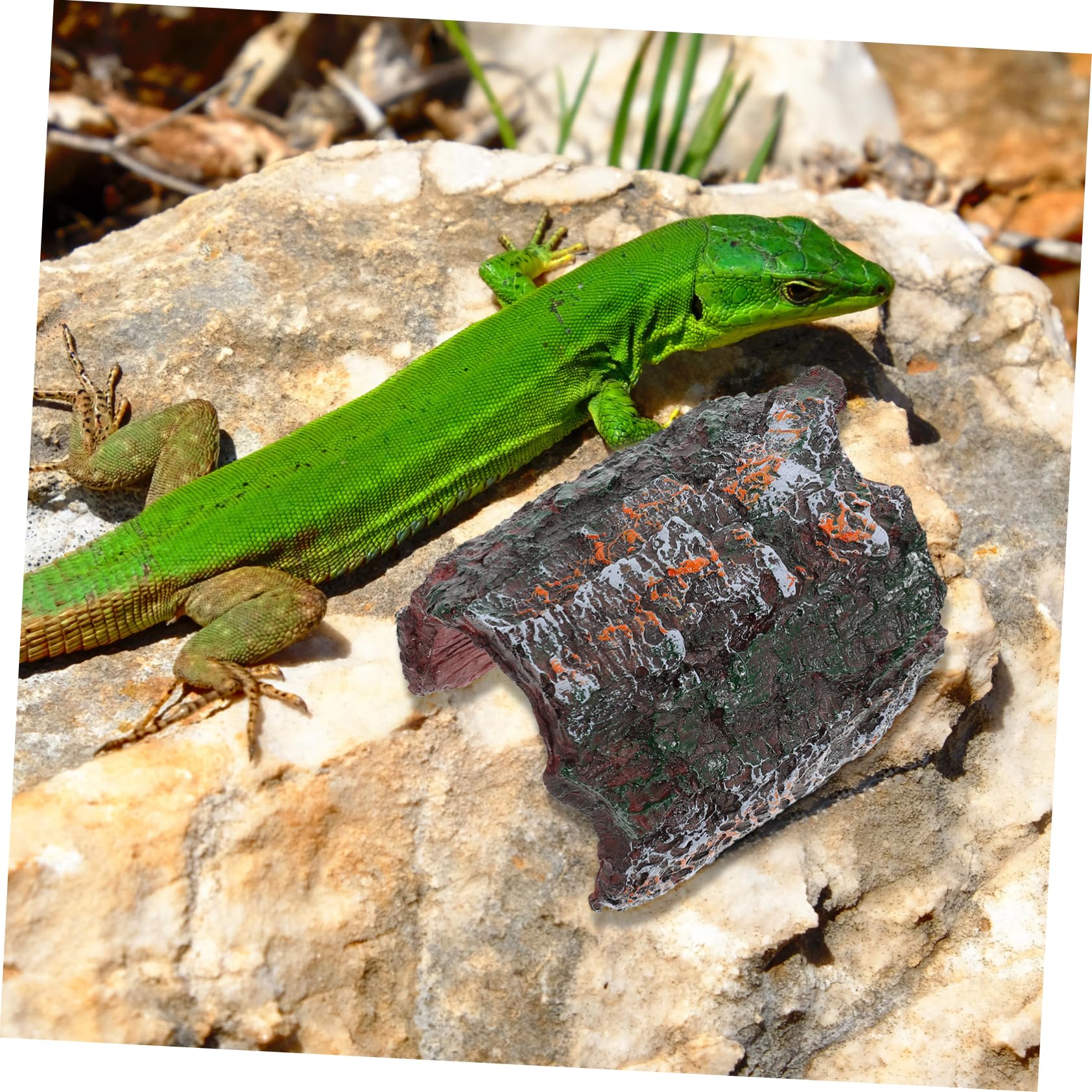 Happyyami Versatile Reptile Hideout: Resin Climbing Toy Pet Hide Cave for Basking Resting