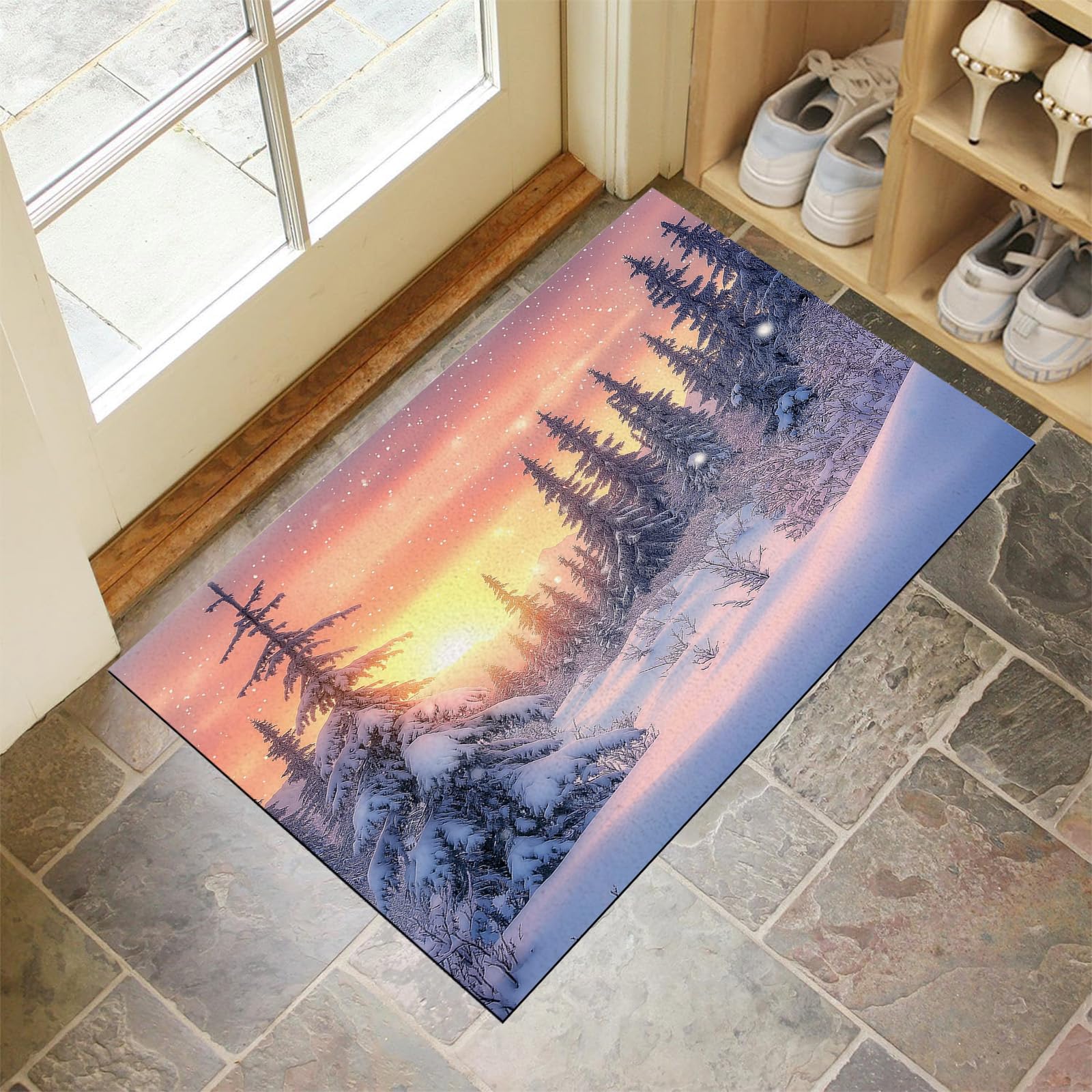 Paillasson intérieur extérieur 50x80 cm lavable et tapis d'entrée antidérapant hiver