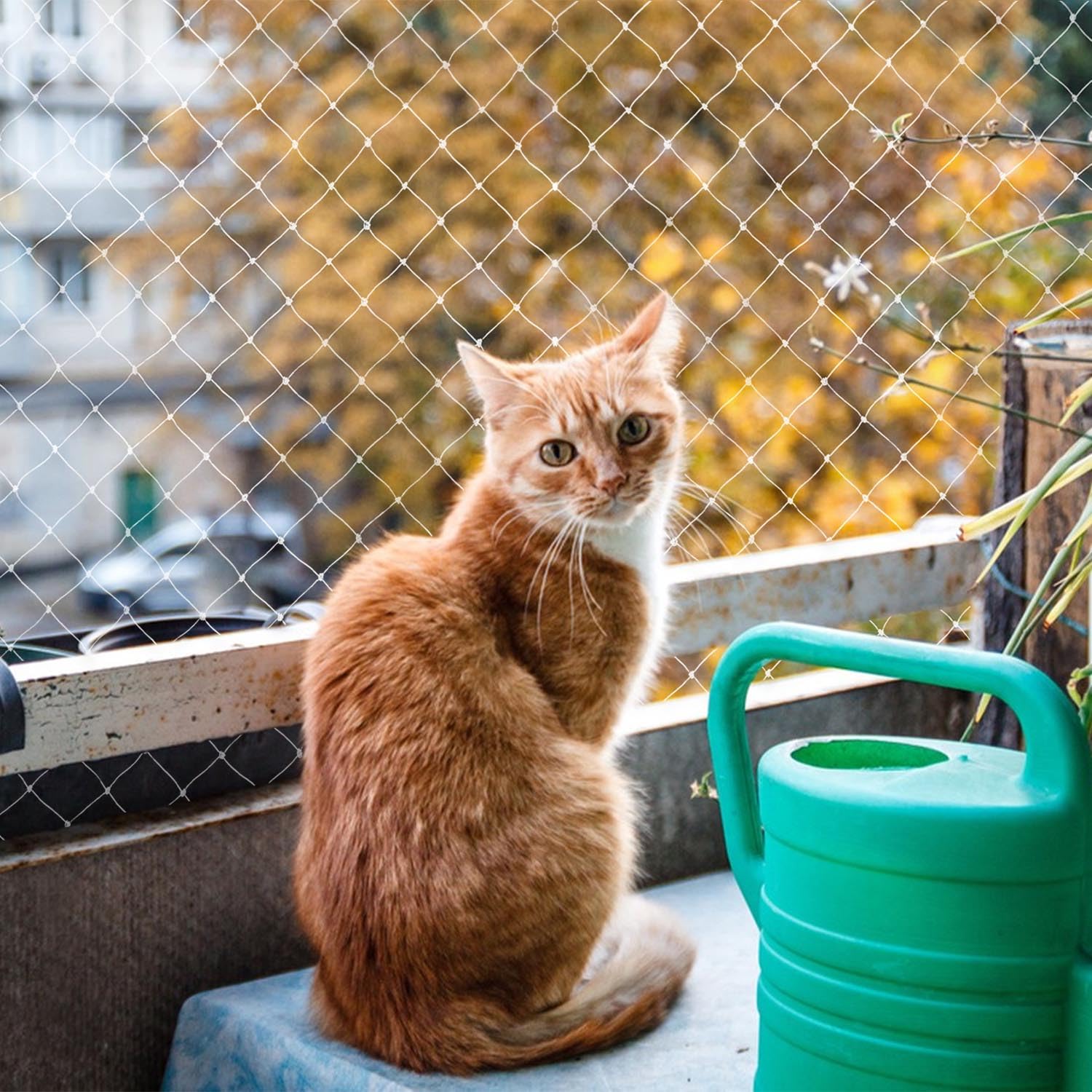 Rete per Balcone Esterno, 3 * 10m Rete Balcone per Gatti, Rete Protezione Gatti Balcone, Rete Anti Uccelli, Anti piccioni, Leggero ma Resistente, può Essere riutilizzato, Zum Balkonen, ​Terrassen