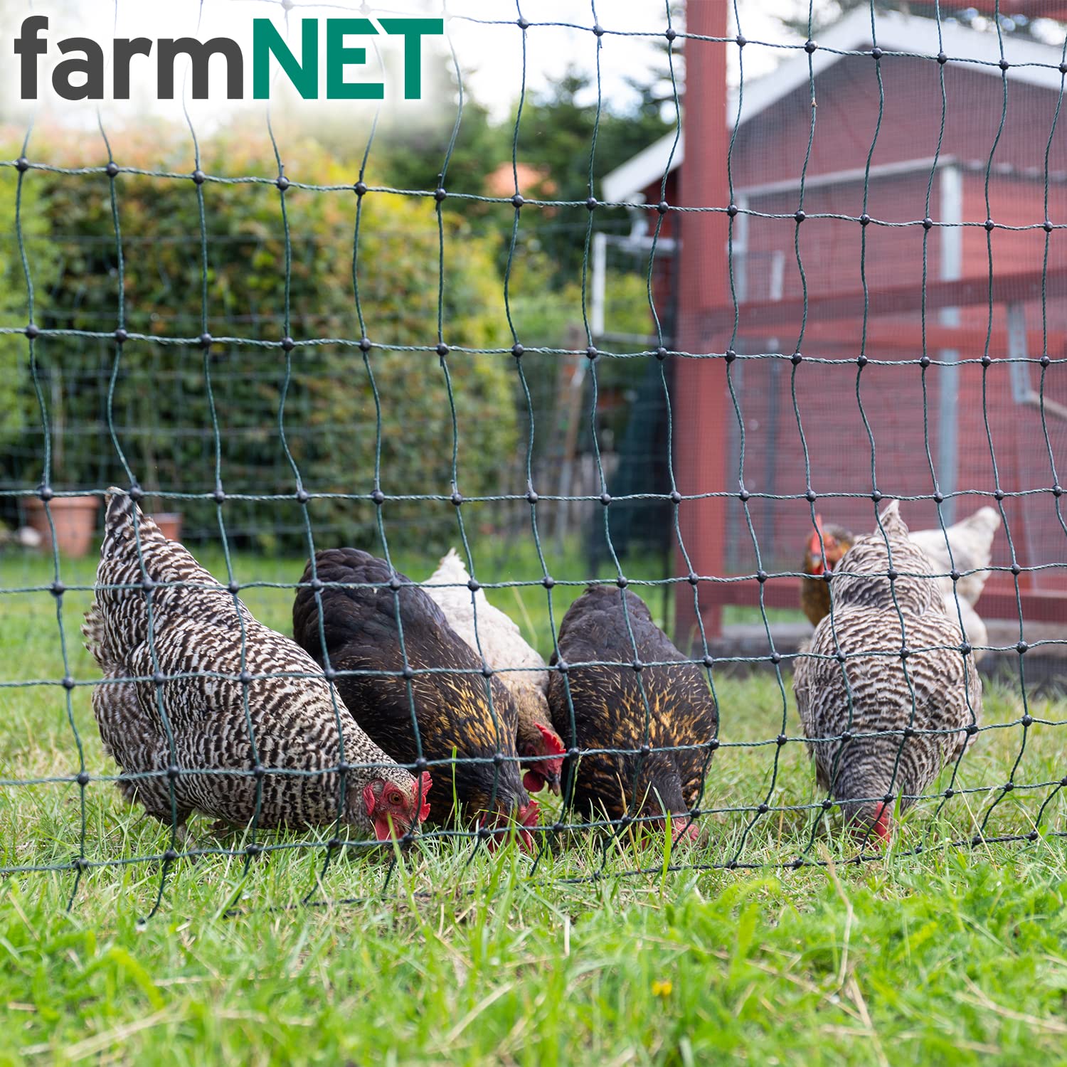 VOSS.farming Filet farmNET pour volailles/Poules, Longueur 50 m, Hauteur 112 cm, 16 piquets, 2 Pointes, Coloris Vert, Non électrifiable