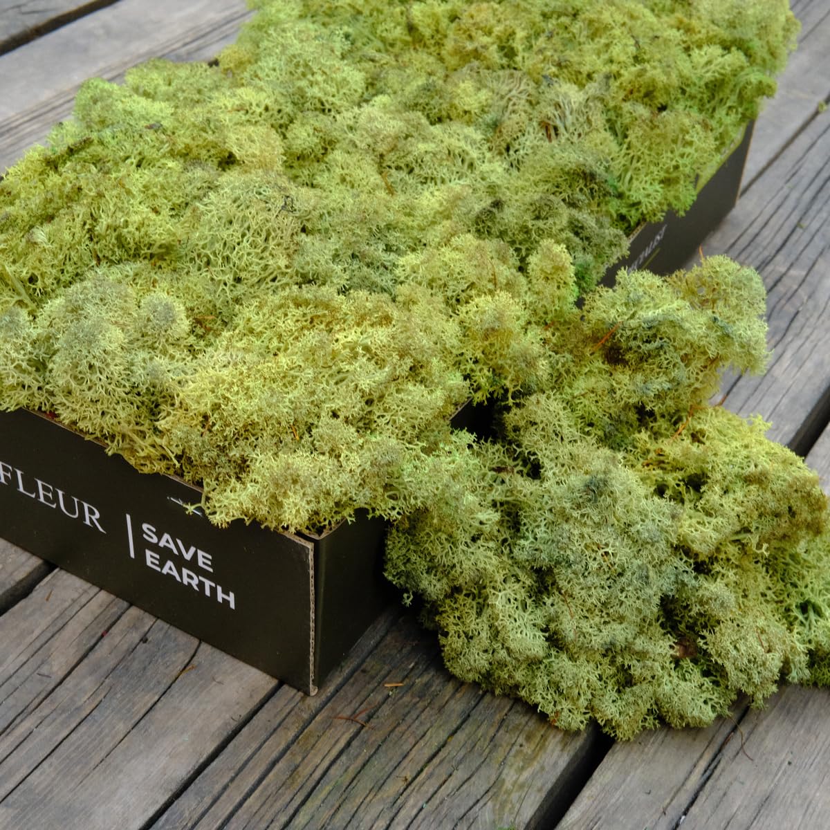 Prefleur Preserved Reindeer Craft Moss Natural Green DIY Kit Gardenning Art Wall Florist Decor Easter Table Decor Wedding Decor (0.85lb) (Green-07) — image 1