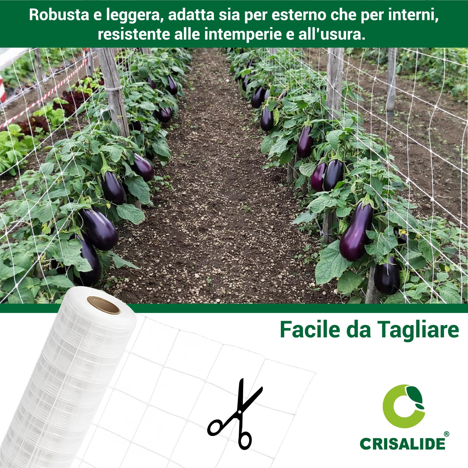 Crisalide Filet pour jardin et plantes grimpantes professionnel – Maille résistante en polyéthylène pour jardin, serre et culture agricole – Différentes dimensions (1,7 x 500 mètres)