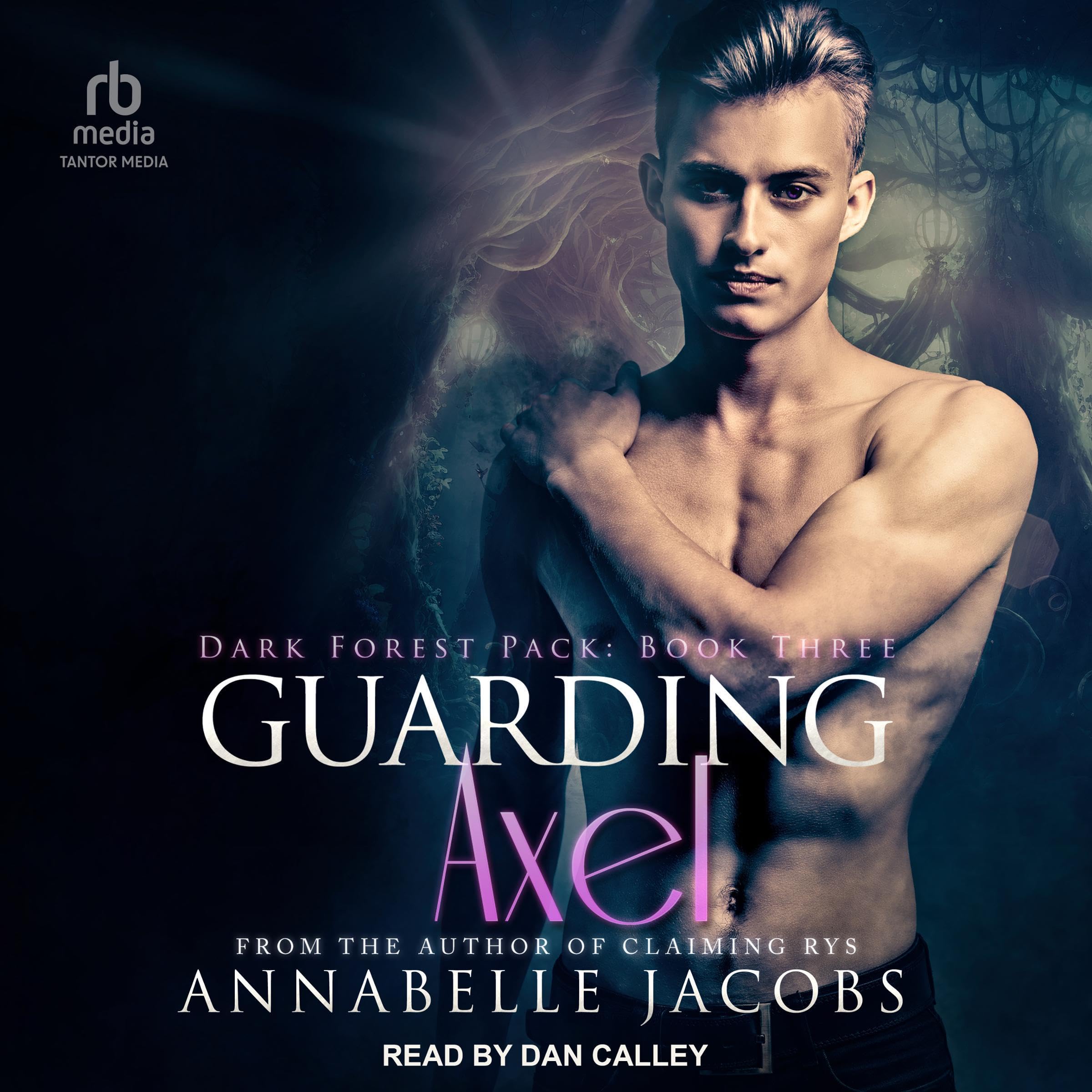 Cover art for Guarding Axel