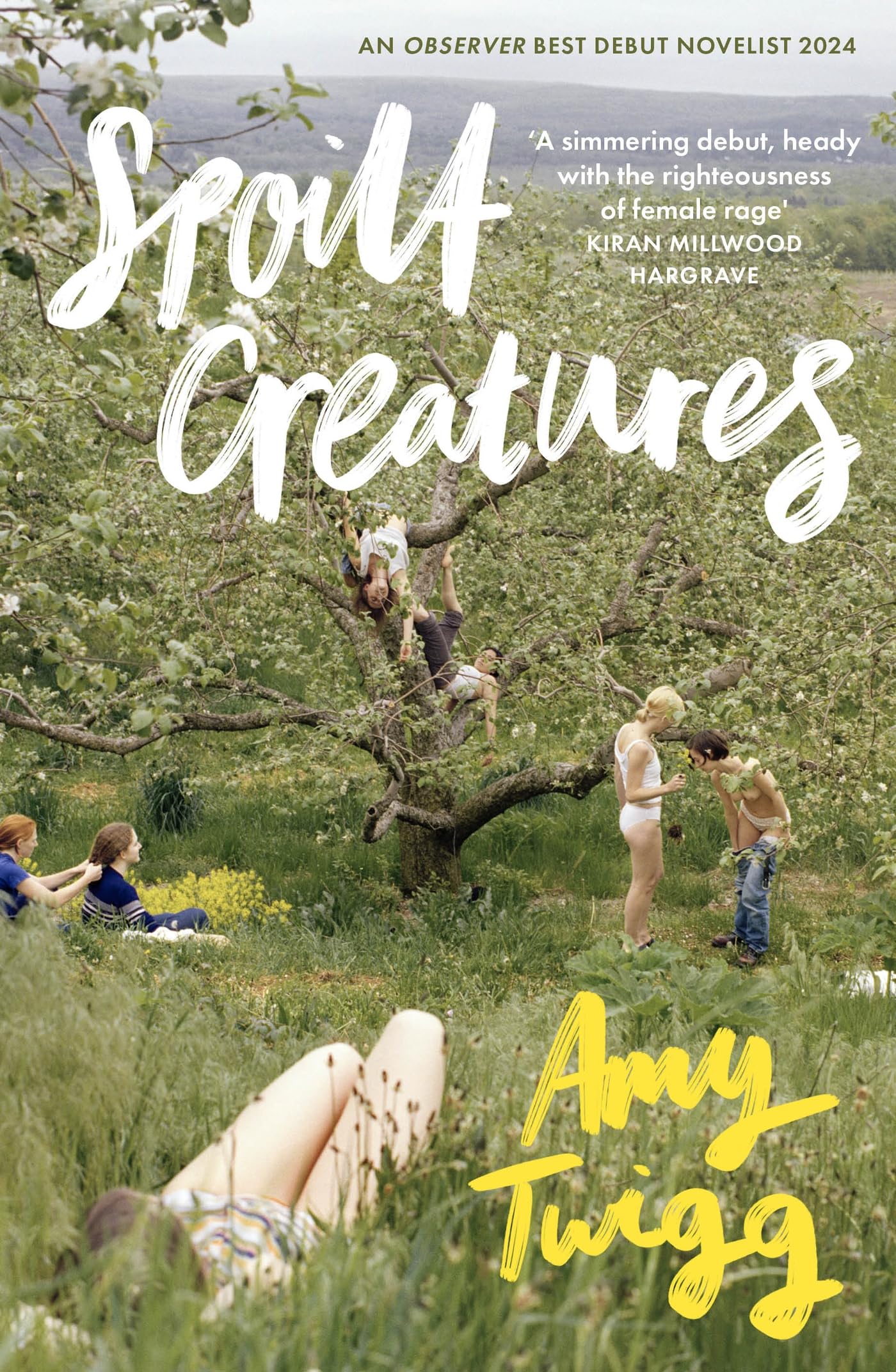 Spoilt Creatures by Amy Twigg HARDBACK 9781035407910