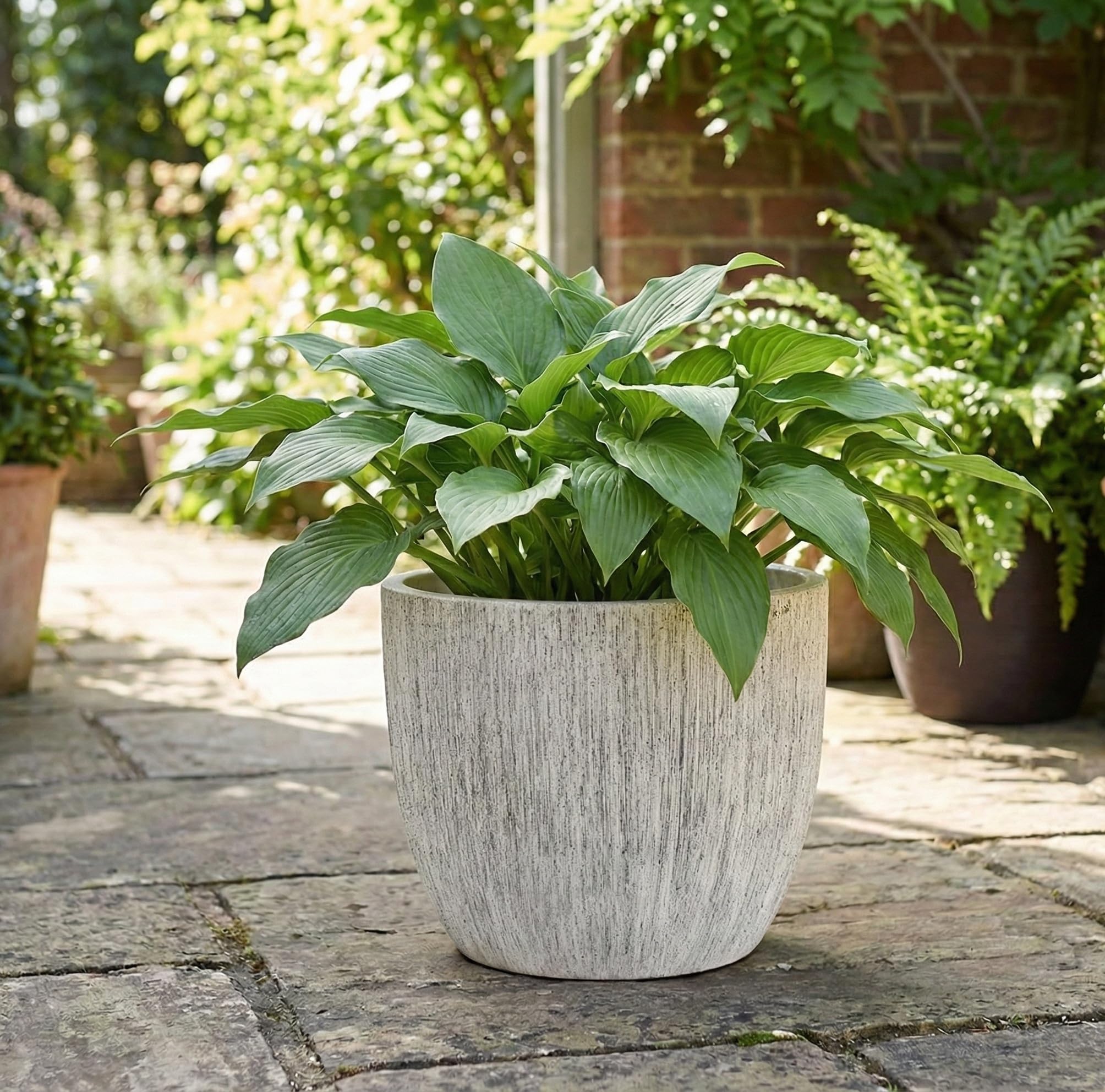 Olly & Rose grandi vasi in ceramica grigio spazzolato
