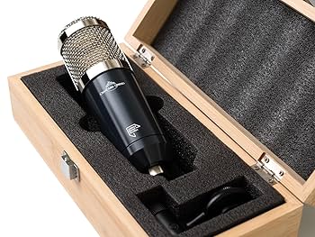 格安 TG Microphone Type L Chandler Limited Chandler Limited TG Microphone Type L Large-diaphragm