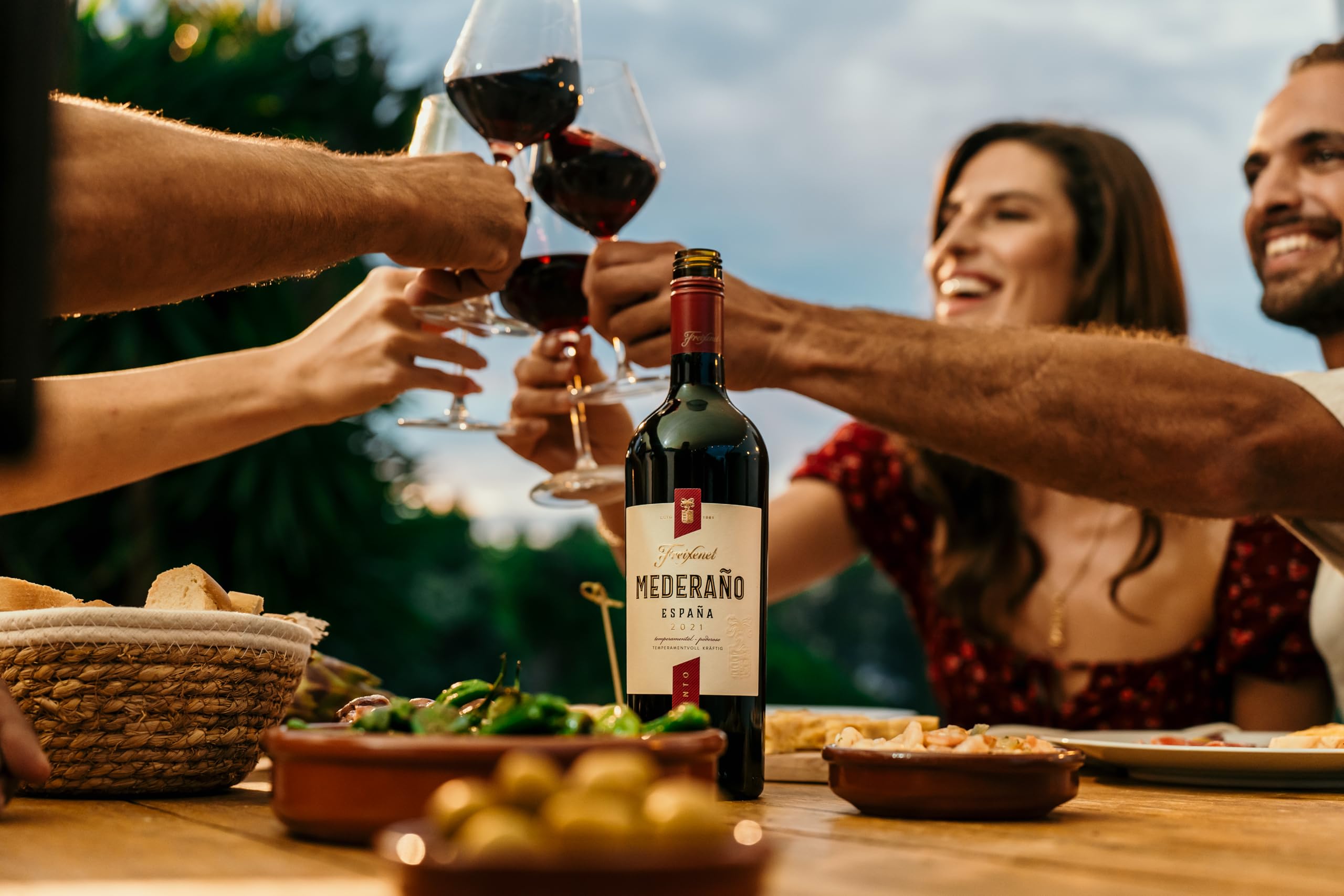 Freixenet Mederaño Tinto Spanischer Rotwein (6 x 0,75 l) Spanish Red Wine, Wein, halbtrocken mit Aromen von Kirsche und Heidelbeere, zu kräftigen Speisen und würzigem Gemüse