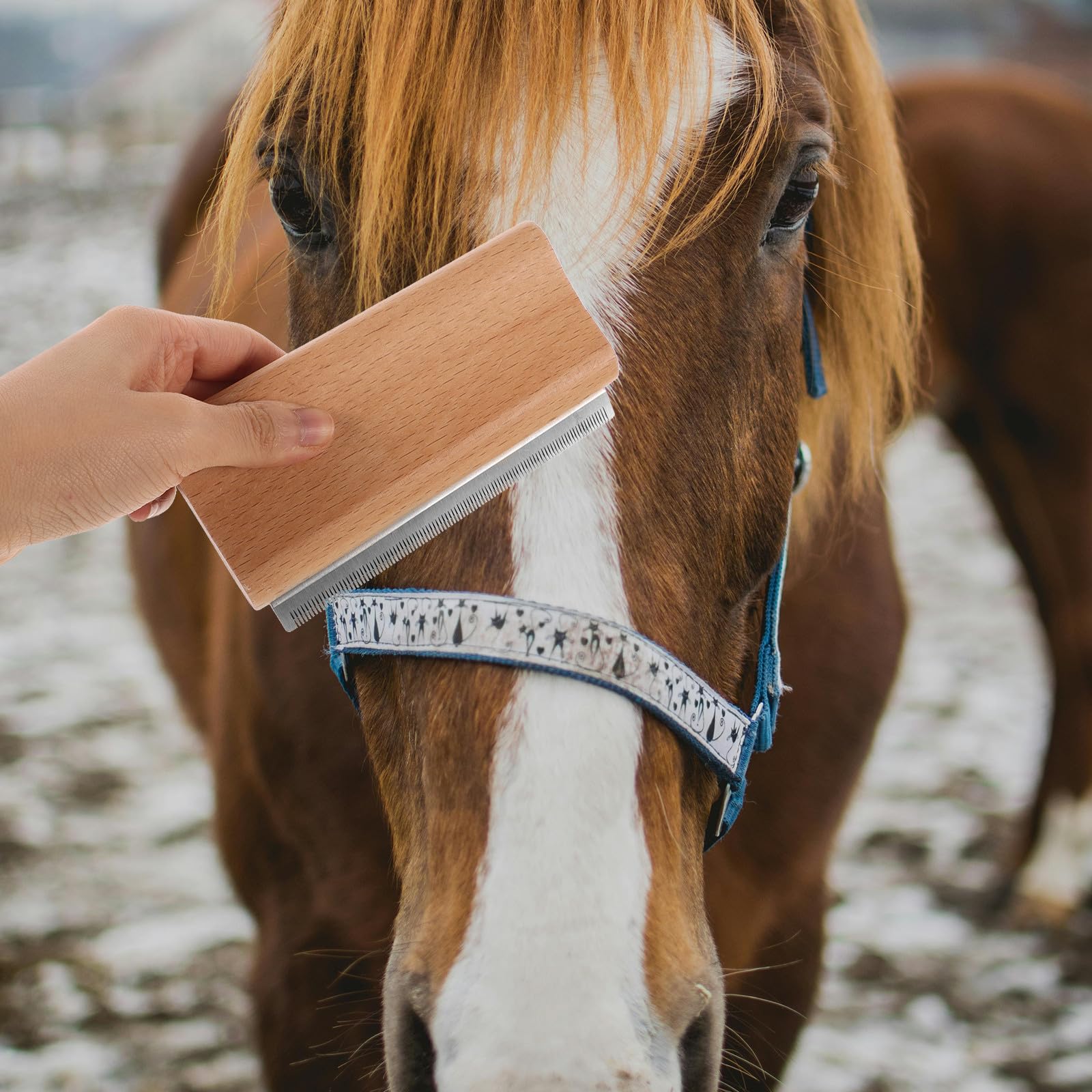 Kisangel Cepillo de Aseo Ergonómico para Mascotas, Raspador de Pelo de Caballo y Perro Mango de Madera y Acero Inoxidable para Limpieza — view 8
