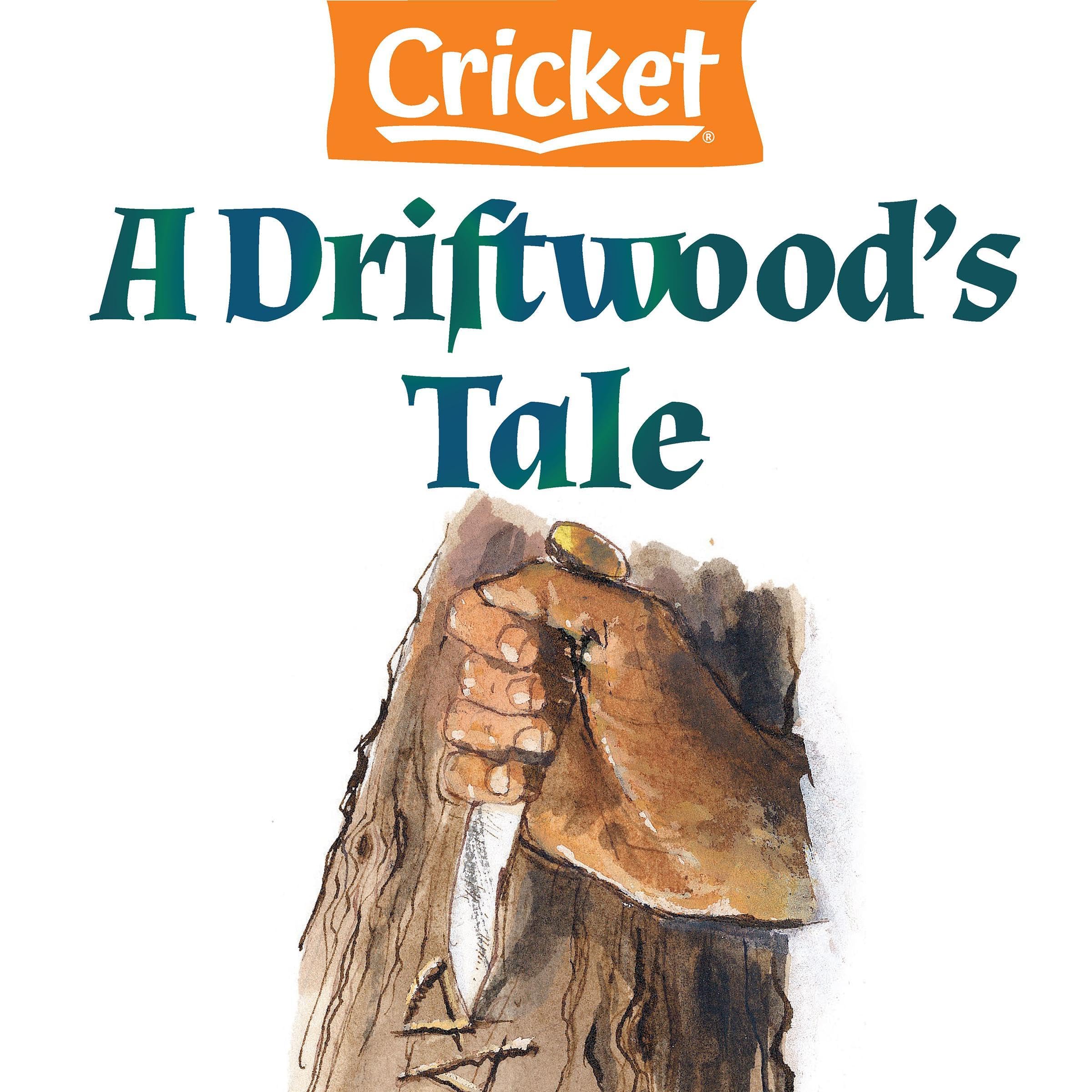 A Driftwood's Tale