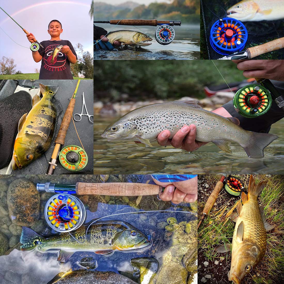 MAXIMUMCATCH Fliegenrolle Avid Serie Fliegenfischen Rollen großer Spulenkern in 1/3, 3/4, 5/6, 7/8, 9/10wt, Geringes Gewicht, 5 Farbe Wahl, mit Schnüre Combo
