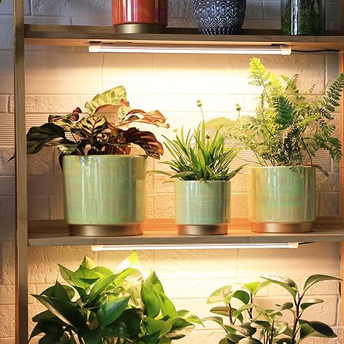 Miniatura 4 de Gepege Macetas de interior para plantas, maceta de cerámica con orificio de drenaje, 6.0 pulgadas + 5.0 pulgadas + 4.0 pulgadas. Maceta de orquídea