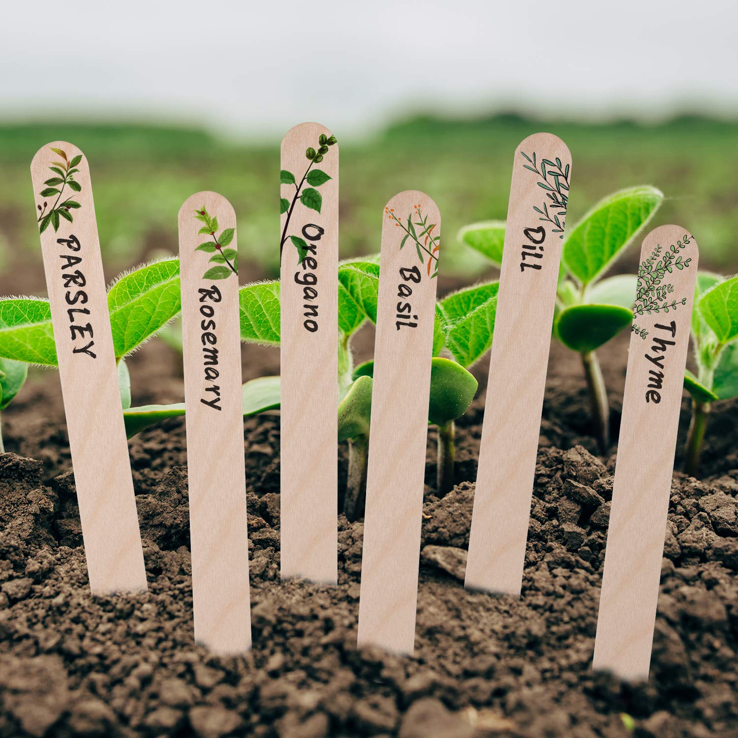 【Mark Borthwick: Are Plants People?】★値下げ Are Plants People? With original photograph | Mark BORTHWICK