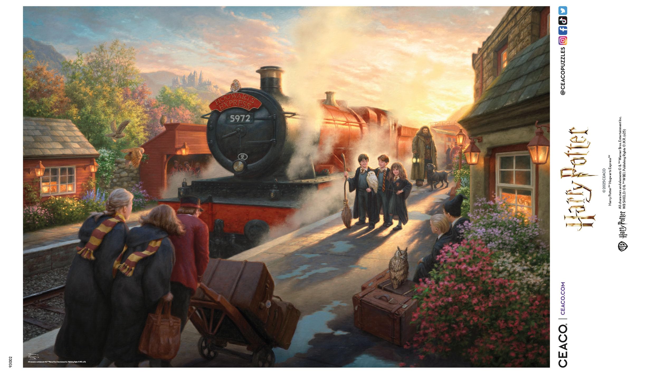 Amazon.com: Ceaco - Harry Potter - Hogwarts Express- 1500 Piece