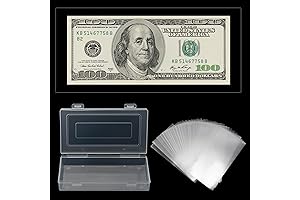 Currency Sleeves Money Organizer for Cash, 100 Pieces Envelopes Money Saving Challenge