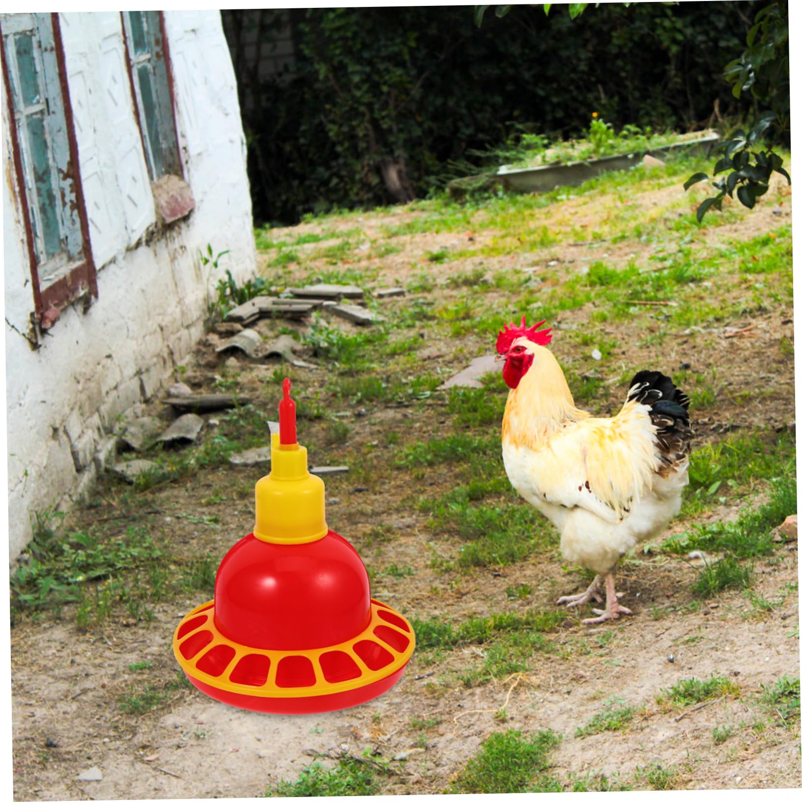 Abbeveratoio Automatico per Polli e Colombi in Pp Resistente, Design Arrotondato Unico, Facile da Pulire, per Uso Domestico e Negozi di Animali